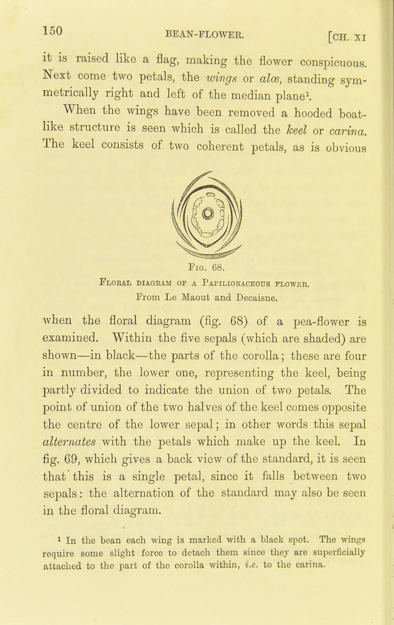it is raised like a flag, making the flower conspicuous. Next come U^o petals, the wivgs or alee, standing sym- metrically right and left of the median planed When the wings have been removed a hooded boat- like structure is seen which is called the keel or carina. The keel consists of two coherent petals, as is obvious Fig. 68. Ploeal diageam of a Papilionaceous floweb. From Le Maout and Decaisne. when the floral diagram (fig. 68) of a pea-flower is examined. Within the five sepals (which are shaded) are shown—in black—the parts of the corolla; these are four in number, the lower one, representing the keel, being partly divided to indicate the union of two petals. The point of union of the two halves of the keel comes opposite the centre of the lower sepal; in other words this sepal alternates with the petals which make up the keel. In fig. 69, which gives a back view of the standard, it is seen that this is a single petal, since it falls between two sepals: the alternation of the standard may also be seen in the floral diagram. ^ In the bean each wing is marked with a black spot. The wings require some slight force to detach them since they are superficially attached to the part of the corolla within, i.e. to the carina.