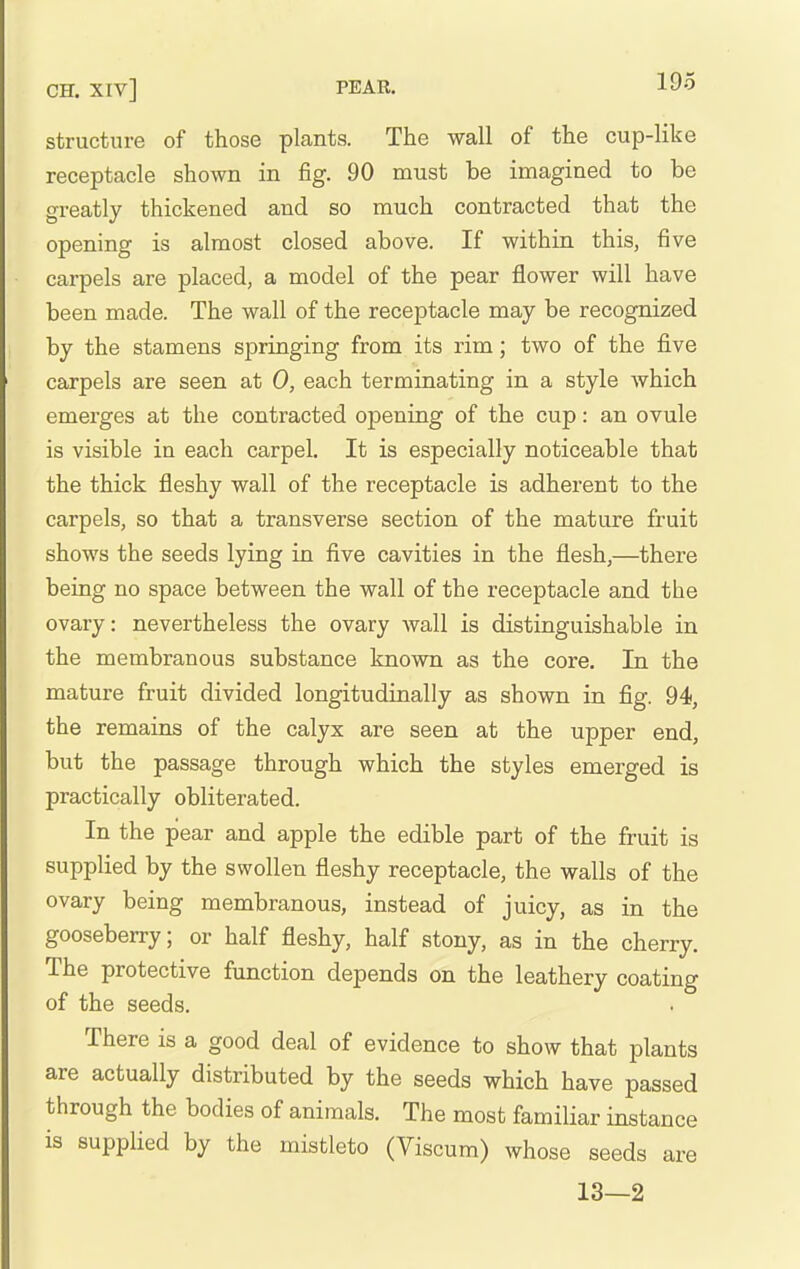 CH. XIV] PEAR. structure of those plants. The wall of the cup-like receptacle shown in fig. 90 must be imagined to be greatly thickened and so much contracted that the opening is almost closed above. If within this, five carpels are placed, a model of the pear flower will have been made. The wall of the receptacle may be recognized by the stamens springing from its rim; two of the five carpels are seen at 0, each terminating in a style which emerges at the contracted opening of the cup: an ovule is visible in each carpel. It is especially noticeable that the thick fleshy wall of the receptacle is adherent to the carpels, so that a transverse section of the mature fruit shows the seeds lying in five cavities in the flesh,—there being no space between the wall of the receptacle and the ovary: nevertheless the ovary Avail is distinguishable in the membranous substance known as the core. In the mature fruit divided longitudinally as shown in fig. 94, the remains of the calyx are seen at the upper end, but the passage through which the styles emerged is practically obliterated. In the pear and apple the edible part of the fruit is supplied by the swollen fleshy receptacle, the walls of the ovary being membranous, instead of juicy, as in the gooseberry; or half fleshy, half stony, as in the cherry. The protective function depends on the leathery coating of the seeds. There is a good deal of evidence to show that plants are actually distributed by the seeds which have passed through the bodies of animals. The most familiar instance is supplied by the mistleto (Viscum) whose seeds are 13—2