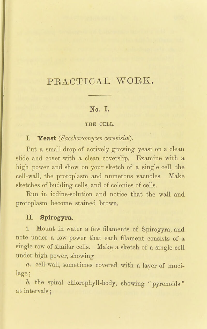 PEACTICAL WOEK. No. I. THE CELL. I. Yeast (Saccharomyces cerevisice). Put a small drop of actively growing yeast on a clean slide and cover with a clean coverslip. Examine with a high power and show on your sketch of a single cell, the cell-wall, the protoplasm and numerous vacuoles. Make sketches of budding cells, and of colonies of cells. Run in iodine-solution and notice that the wall and protoplasm become stained brown. II. Spirogyra. i. Mount in water a few filaments of Spirogyra, and note under a low power that each filament consists of a single row of similar cells. Make a sketch of a single cell under high power, showing a. cell-wall, sometimes covered with a layer of muci- lage; b. the spiral chlorophyll-body, showing pyrenoids at intervals;