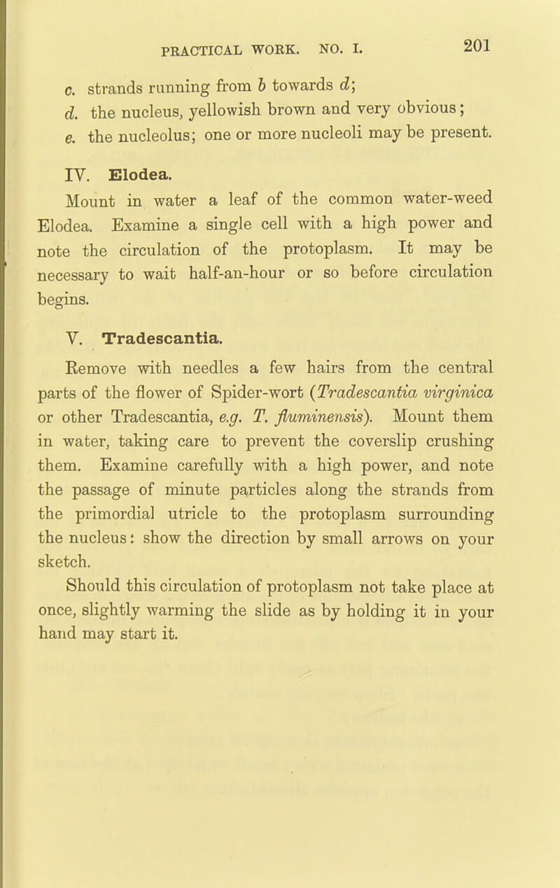 c. strands running from h towards d; d. the nucleus, yellowish brown and very obvious; e. the nucleolus; one or more nucleoli may be present, IV. Elodea. Mount in water a leaf of the common water-weed Elodea. Examine a single cell with a high power and note the circulation of the protoplasm. It may be necessary to wait half-an-hour or so before circulation begins. V. Tradescantia. Remove with needles a few hairs from the central parts of the flower of Spider-wort (Tradescantia virginica or other Tradescantia, e.g. T. fluminensis). Mount them in water, taking care to prevent the coverslip crushing them. Examine carefully with a high power, and note the passage of minute particles along the strands from the primordial utricle to the protoplasm surrounding the nucleus: show the direction by small arrows on your sketch. Should this circulation of protoplasm not take place at once, slightly warming the slide as by holding it in your hand may start it.