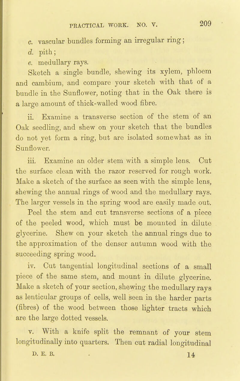 c. vascular bundles forming an irregular ring; d. pith; e. medullary rays. Sketch a single bundle, shewing its xylem, phloem and cambium, and compare your sketch with that of a bundle in the Sunflower, noting that in the Oak there is a large amount of thick-walled wood fibre. ii. Examine a transverse section of the stem of an Oak seedling, and shew on your sketch that the bundles do not yet form a ring, but are isolated somewhat as in Sunflower. iii. Examine an older stem with a simple lens. Cut the surface clean with the razor reserved for rough work. Make a sketch of the surface as seen with the simple lens, shewing the annual rings of wood and the medullary rays. The larger vessels in the spring wood are easily made out. Peel the stem and cut transverse sections of a piece of the peeled wood, which must be mouuted in dilute glycerine. Shew on your sketch the annual rings due to the approximation of the denser autumn wood with the succeeding spring wood. iv. Cut tangential longitudinal sections of a small piece of the same stem, and mount in dilute glycerine. Make a sketch of your section, shewing the medullary rays as lenticular groups of cells, well seen in the harder parts (fibres) of the wood between those lighter tracts which are the large dotted vessels. V. With a knife split the remnant of your stem longitudinally into quarters. Then cut radial longitudinal D. E. B. . 14,