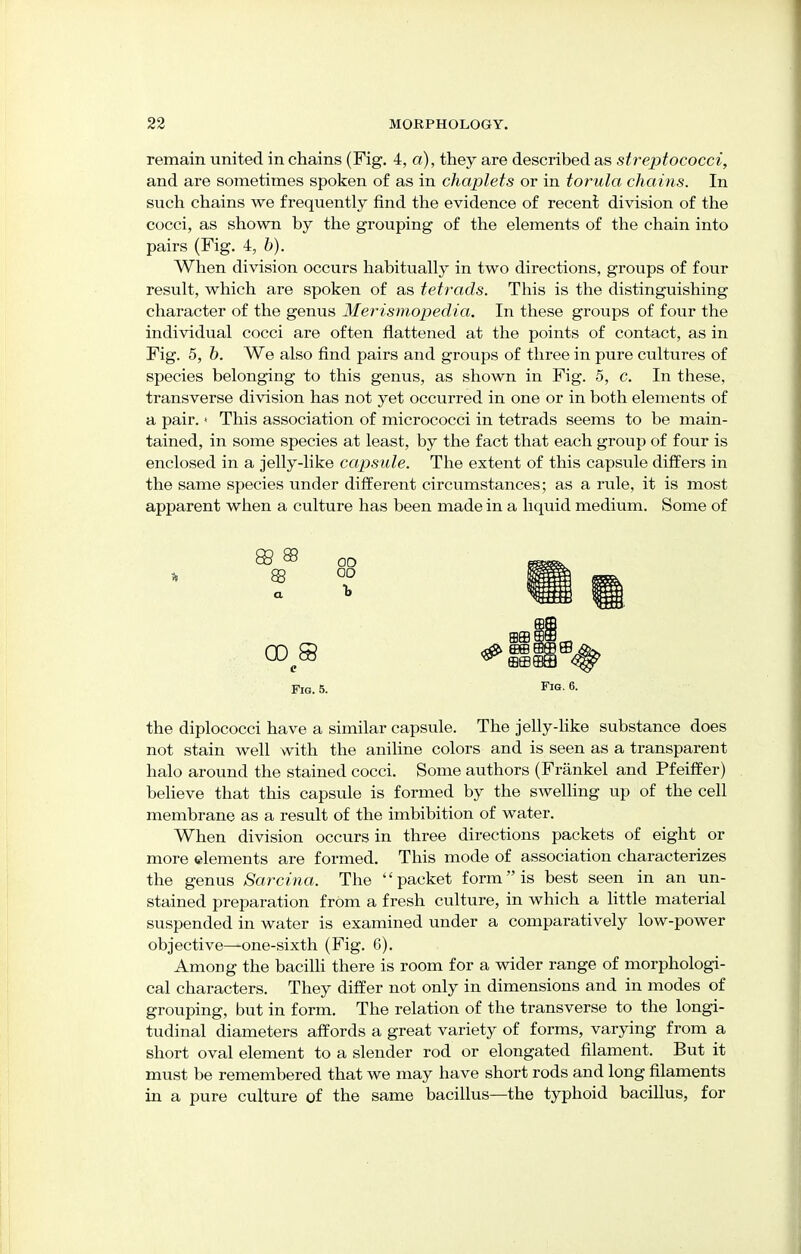 remain united in chains (Fig. 4, a), they are described as streptococci, and are sometimes spoken of as in chaplets or in torula chains. In such chains we frequently find the evidence of recent division of the cocci, as shown by the grouping of the elements of the chain into pairs (Fig. 4, b). When division occurs habitually in two directions, groups of four result, which are spoken of as tetrads. This is the distinguishing character of the genus Merismopedia. In these groups of four the individual cocci are often flattened at the points of contact, as in Fig. 5, b. We also find pairs and groups of three in pure cultures of species belonging to this genus, as shown in Fig. 5, c. In these, transverse division has not yet occurred in one or in both elements of a pair.» This association of micrococci in tetrads seems to be main- tained, in some species at least, by the fact that each group of four is enclosed in a jelly-like capsule. The extent of this capsule differs in the same species under different circumstances; as a rule, it is most apparent when a culture has been made in a liquid medium. Some of Fig. 5. Fig. 6. the diplococci have a similar capsule. The jelly-like substance does not stain well with the aniline colors and is seen as a transparent halo around the stained cocci. Some authors (Frankel and Pfeiffer) believe that this capsule is formed by the swelling up of the cell membrane as a result of the imbibition of water. When division occurs in three directions packets of eight or more elements are formed. This mode of association characterizes the genus Sarcina. The packet form is best seen in an un- stained preparation from a fresh culture, in which a little material suspended in water is examined under a comparatively low-power objective—one-sixth (Fig. 6). Among the bacilli there is room for a wider range of morphologi- cal characters. They differ not only in dimensions and in modes of grouping, but in form. The relation of the transverse to the longi- tudinal diameters affords a great variety of forms, varying from a short oval element to a slender rod or elongated filament. But it must be remembered that we may have short rods and long filaments in a pure culture of the same bacillus—the typhoid bacillus, for