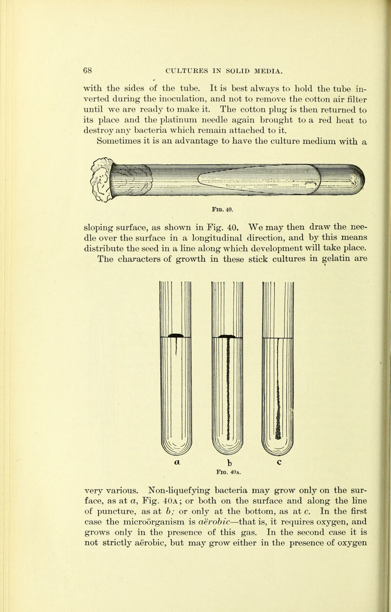 with the sides of the tube. It is best always to hold the tube in- verted during the inoculation, and not to remove the cotton air filter until we are ready to make it. The cotton plug is then returned to its place and the platinum needle again brought to a red heat to destroy any bacteria which remain attached to it. Sometimes it is an advantage to have the culture medium with a Fig. 40. sloping surface, as shown in Fig. 40. We may then draw the nee- dle over the surface in a longitudinal direction, and by this means distribute the seed in a line along which development will take place. The characters of growth in these stick cultures in gelatin are a b c Fig. 40a. very various. Non-liquefying bacteria may grow only on the sur- face, as at a, Fig. 40a ; or both on the surface and along the line of puncture, as at b; or only at the bottom, as at c. In the first case the microorganism is aerobic—that is, it requires oxygen, and grows only in the presence of this gas. In the second case it is not strictly aerobic, but may grow either in the presence of oxygen