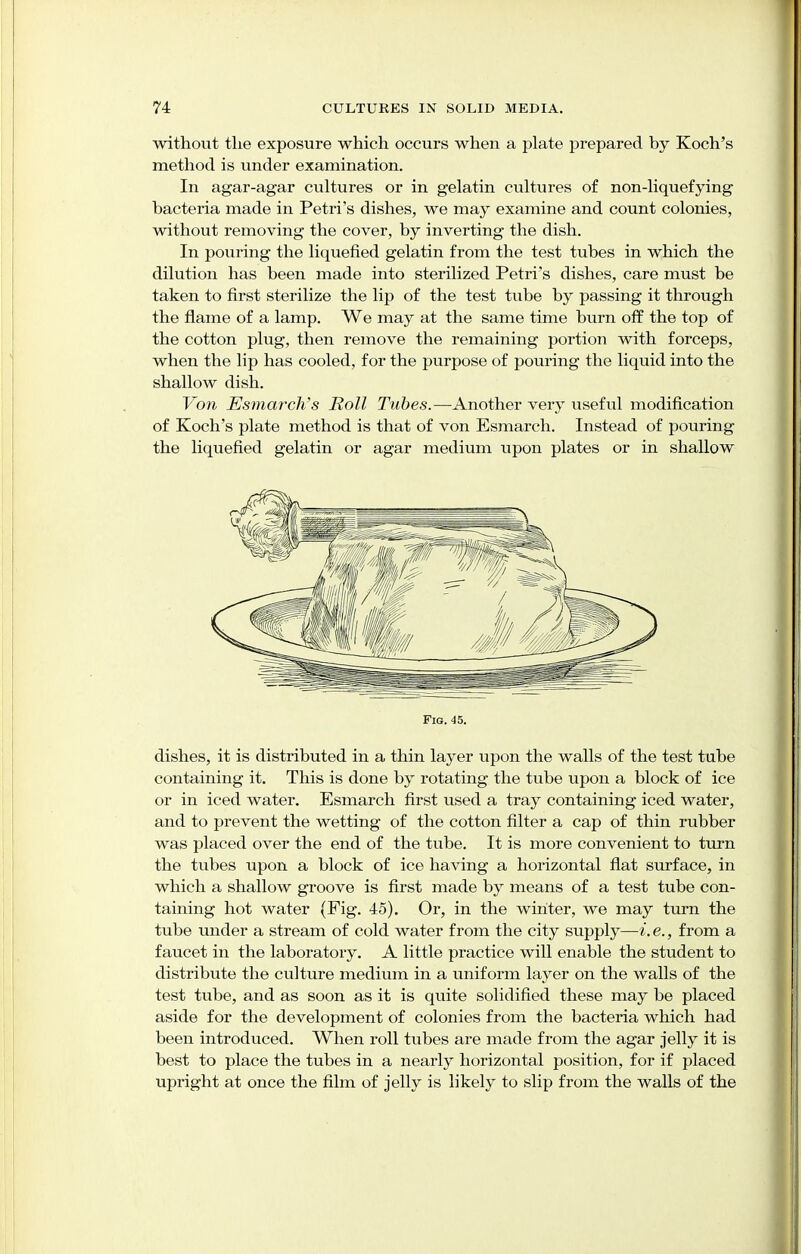 without the exposure which occurs when a plate prepared by Koch's method is under examination. In agar-agar cultures or in gelatin cultures of non-liquefying bacteria made in Petri's dishes, we may examine and count colonies, without removing the cover, by inverting the dish. In pouring the liquefied gelatin from the test tubes in which the dilution has been made into sterilized Petri's dishes, care must be taken to first sterilize the lip of the test tube by passing it through the flame of a lamp. We may at the same time burn off the top of the cotton plug, then remove the remaining portion with forceps, when the lip has cooled, for the purpose of pouring the liquid into the shallow dish. Von Esmarch's Roll Tubes.—Another very useful modification of Koch's plate method is that of von Esmarch. Instead of pouring the liquefied gelatin or agar medium upon plates or in shallow Fig. 45. dishes, it is distributed in a thin layer upon the walls of the test tube containing it. This is done by rotating the tube upon a block of ice or in iced water. Esmarch first used a tray containing iced water, and to prevent the wetting of the cotton filter a cap of thin rubber was placed over the end of the tube. It is more convenient to turn the tubes upon a block of ice having a horizontal flat surface, in which a shallow groove is first made by means of a test tube con- taining hot water (Fig. 45). Or, in the winter, we may turn the tube under a stream of cold water from the city supply—i.e., from a faucet in the laboratory. A little practice will enable the student to distribute the culture medium in a uniform layer on the walls of the test tube, and as soon as it is quite solidified these may be placed aside for the development of colonies from the bacteria which had been introduced. When roll tubes are made from the agar jelly it is best to place the tubes in a nearly horizontal position, for if placed upright at once the film of jelly is likely to slip from the walls of the