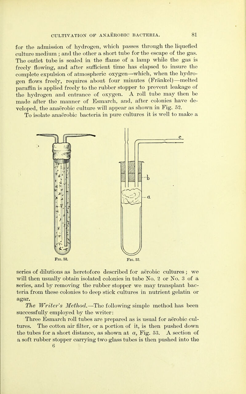 for the admission of hydrogen, which passes through the liquefied culture medium ; and the other a short tube for the escape of the gas. The outlet tube is sealed in the flame of a lamp while the gas is freely flowing, and after sufficient time has elapsed to insure the complete expulsion of atmospheric oxygen—which, when the hydro- gen flows freely, requires about four minutes (Friinkel)—melted paraffin is applied freely to the rubber stopper to prevent leakage of the hydrogen and entrance of oxygen. A roll tube may then be made after the manner of Esmarch, and, after colonies have de- veloped, the anaerobic culture will appear as shown in Fig. 52. To isolate anaerobic bacteria in pure cultures it is well to make a Fig. 52. Fig. 53. series of dilutions as heretofore described for aerobic cultures ; we will then usually obtain isolated colonies in tube No. 2 or No. 3 of a series, and by removing the rubber stopper we may transplant bac- teria from these colonies to deep stick cultures in nutrient gelatin or agar. The Writer s Method.—-The following simple method has been successfully employed by the writer: Three Esmarch roll tubes are prepared as is usual for aerobic cul- tures. The cotton air filter, or a portion of it, is then pushed down the tubes for a short distance, as shown at a, Fig. 53. A section of a soft rubber stopper carrying two glass tubes is then pushed into the 6