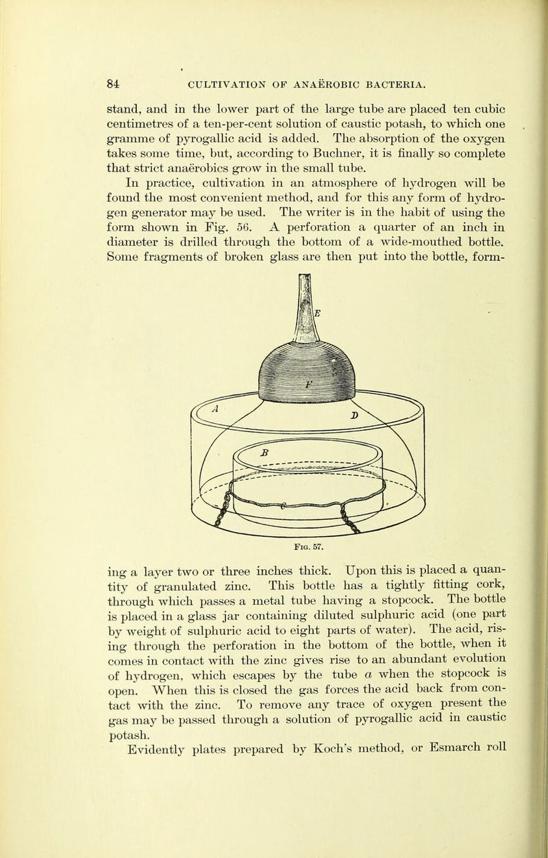 stand, and in the lower part of the large tube are placed ten cubic centimetres of a ten-per-cent solution of caustic potash, to which one gramme of pyrogallic acid is added. The absorption of the oxygen takes some time, but, according to Buchner, it is finally so complete that strict anaerobics grow in the small tube. In practice, cultivation in an atmosphere of hydrogen will be found the most convenient method, and for this any form of hydro- gen generator may be used. The writer is in the habit of using the form shown in Fig. 56. A perforation a quarter of an inch in diameter is drilled through the bottom of a wide-mouthed bottle. Some fragments of broken glass are then put into the bottle, form- ing a layer two or three inches thick. Upon this is placed a quan- tity of granulated zinc. This bottle has a tightly fitting cork, through which passes a metal tube having a stopcock. The bottle is placed in a glass jar containing diluted sulphuric acid (one part by weight of sulphuric acid to eight parts of water). The acid, ris- ing through the perforation in the bottom of the bottle, when it comes in contact with the zinc gives rise to an abundant evolution of hydrogen, which escapes by the tube a when the stopcock is open. When this is closed the gas forces the acid back from con- tact with the zinc. To remove any trace of oxygen present the gas may be passed through a solution of pyrogallic acid in caustic potash. Evidently plates prepared by Koch s method, or Esmarch roll