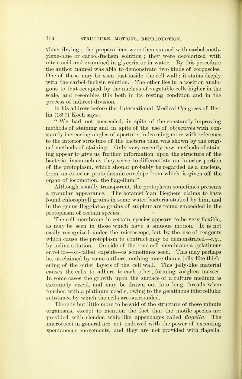 vious drying ; the preparations were then stained with carbol-meth- ylene-blue or carbol-fuchsin solution ; they were decolorized with nitric acid and examined in glycerin or in water. By this procedure the author named was able to demonstrate two kinds of corpuscles. One of these may be seen just inside the cell wall; it stains deeply with the carbol-fuchsin solution. The other lies in a position analo- gous to that occupied by the nucleus of vegetable cells higher in the scale, and resembles this both in its resting condition and in the process of indirect division. In his address before the International Medical Congress of Ber- lin (1890) Koch says :  We had not succeeded, in spite of the constantly improving methods of staining and in spite of the use of objectives with con- stantly increasing angles of aperture, in learning more with reference to the interior structure of the bacteria than was shown by the origi- nal methods of staining. Only very recently new methods of stain- ing appear to give us further information upon the structure of the bacteria, inasmuch as they serve to differentiate an interior portion of the protoplasm, which should probably be regarded as a nucleus, from an exterior protoplasmic envelope from which is given off the organ of locomotion, the flagellum. Although usually transparent, the protoplasm sometimes presents a granular appearance. The botanist Van Tieghem claims to have found chlorophyll grains in some water bacteria studied by him, and in the genus Beggiatoa grains of sulphur are found embedded in the protoplasm of certain species. The cell membrane in certain species appears to be very flexible, as may be seen in those which have a sinuous motion. It is not easily recognized under the microscope, but by the use of reagents which cause the protoplasm to contract may be demonstrated—e.g., by iodine solution. Outside of the true cell membrane a gelatinous envelope—so-called capsule—is sometimes seen. This may perhaps be, as claimed by some authors, nothing more than a jelly-like thick- ening of the outer layers of the cell wall. This jelly-like material causes the cells to adhere to each other, forming zoogloea masses. In some cases the growth upon the surface of a culture medium is extremely viscid, and may be drawn out into long threads when touched with a platinum needle, owing to the gelatinous intercellular substance by which the cells are surrounded. There is but little more to be said of the structure of these minute organisms, except to mention the fact that the motile species are provided with slender, whip-like appendages called ftagella. The micrococci in general are not endowed with the power of executing spontaneous movements, and they are not provided with flagella.