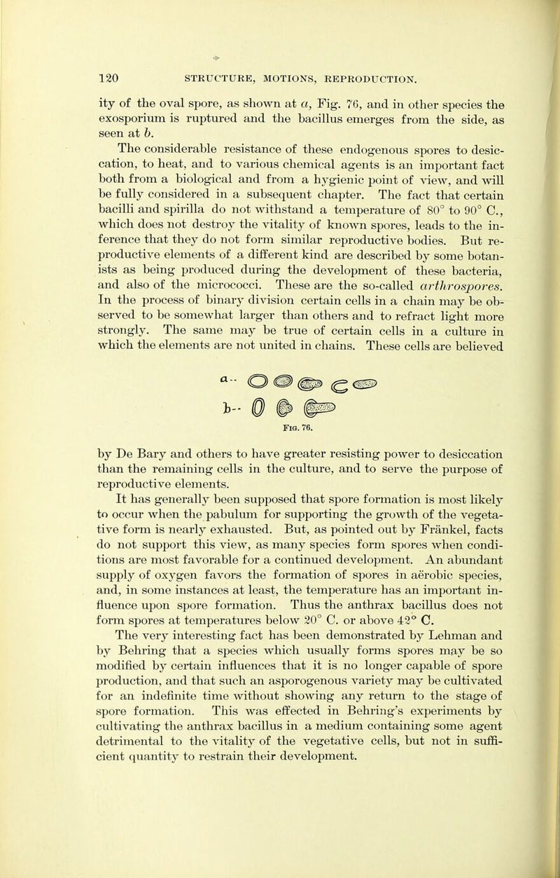 ity of the oval spore, as shown at a, Fig. 76, and in other species the exosporium is ruptured and the bacillus emerges from the side, as seen at b. The considerable resistance of these endogenous spores to desic- cation, to heat, and to various chemical agents is an important fact both from a biological and from a hygienic point of view, and will be fully considered in a subsequent chapter. The fact that certain bacilli and spirilla do not withstand a temperature of 80° to 90° C, which does not destroy the vitality of known spores, leads to the in- ference that they do not form similar reproductive bodies. But re- productive elements of a different kind are described by some botan- ists as being produced during the development of these bacteria, and also of the micrococci. These are the so-called arthrospores. In the process of binary division certain cells in a chain may be ob- served to be somewhat larger than others and to refract light more strongly. The same may be true of certain cells in a culture in which the elements are not united in chains. These cells are believed by De Bary and others to have greater resisting power to desiccation than the remaining cells in the culture, and to serve the purpose of reproductive elements. It has generally been supposed that spore formation is most likely to occur when the pabulum for supporting the growth of the vegeta- tive form is nearly exhausted. But, as pointed out by Frankel, facts do not support this view, as many species form spores when condi- tions are most favorable for a continued development. An abundant supply of oxygen favors the formation of spores in aerobic species, and, in some instances at least, the temperature has an important in- fluence upon spore formation. Thus the anthrax bacillus does not form spores at temperatures below 20° C. or above 42° C. The very interesting fact has been demonstrated by Lehman and by Behring that a species which usually forms spores may be so modified by certain influences that it is no longer capable of spore production, and that such an asporogenous variety may be cultivated for an indefinite time without showing any return to the stage of spore formation. This was effected in Behring's experiments by cultivating the anthrax bacillus in a medium containing some agent detrimental to the vitality of the vegetative cells, but not in suffi- cient quantity to restrain their development. i- 0