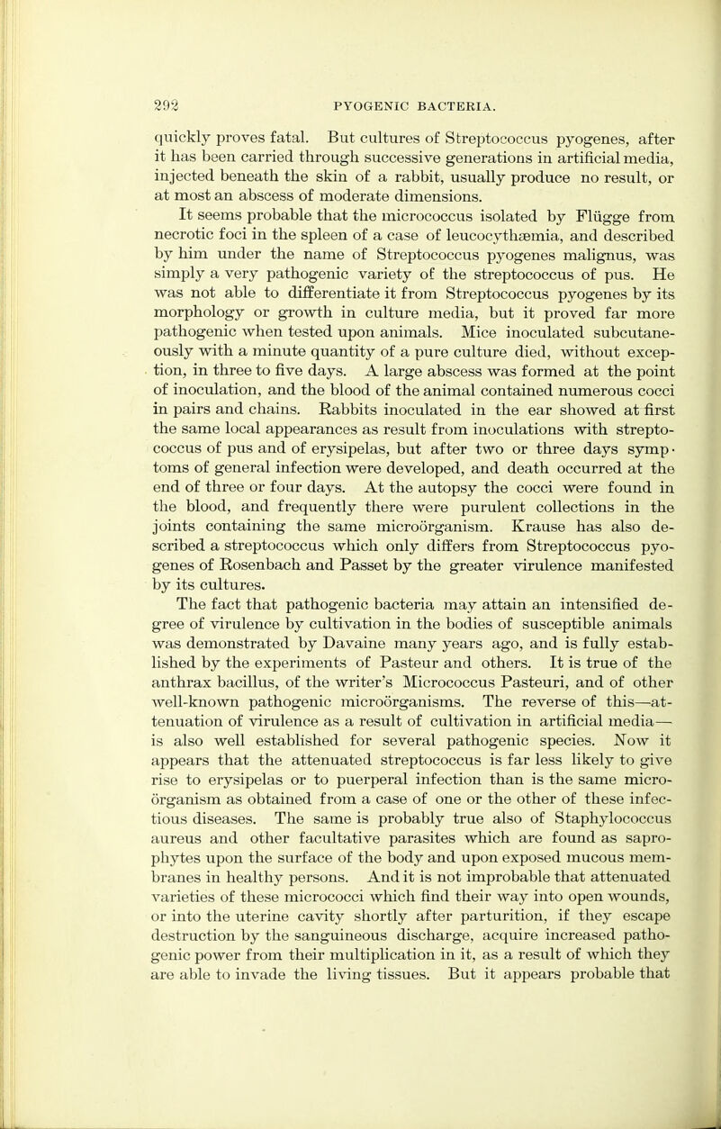 quickly proves fatal. But cultures of Streptococcus pyogenes, after it has been carried through successive generations in artificial media, injected beneath the skin of a rabbit, usually produce no result, or at most an abscess of moderate dimensions. It seems probable that the micrococcus isolated by Flugge from necrotic foci in the spleen of a case of leucocythfemia, and described by him under the name of Streptococcus pyogenes malignus, was simply a very pathogenic variety of the streptococcus of pus. He was not able to differentiate it from Streptococcus pyogenes by its morphology or growth in culture media, but it proved far more pathogenic when tested upon animals. Mice inoculated subcutane- ously with a minute quantity of a pure culture died, without excep- tion, in three to five days. A large abscess was formed at the point of inoculation, and the blood of the animal contained numerous cocci in pairs and chains. Rabbits inoculated in the ear showed at first the same local appearances as result from inoculations with strepto- coccus of pus and of erysipelas, but after two or three days symp ■ toms of general infection were developed, and death occurred at the end of three or four days. At the autopsy the cocci were found in the blood, and frequently there were purulent collections in the joints containing the same microorganism. Krause has also de- scribed a streptococcus which only differs from Streptococcus pyo- genes of Rosenbach and Passet by the greater virulence manifested by its cultures. The fact that pathogenic bacteria may attain an intensified de- gree of virulence by cultivation in the bodies of susceptible animals was demonstrated by Davaine many years ago, and is fully estab- lished by the experiments of Pasteur and others. It is true of the anthrax bacillus, of the writer's Micrococcus Pasteuri, and of other Avell-known pathogenic microorganisms. The reverse of this—at- tenuation of virulence as a result of cultivation in artificial media— is also well established for several pathogenic species. Now it appears that the attenuated streptococcus is far less likely to give rise to erysipelas or to puerperal infection than is the same micro- organism as obtained from a case of one or the other of these infec- tious diseases. The same is probably true also of Staphylococcus aureus and other facultative parasites which are found as sapro- phytes upon the surface of the body and upon exposed mucous mem- branes in healthy persons. And it is not improbable that attenuated varieties of these micrococci which find their way into open wounds, or into the uterine cavity shortly after parturition, if they escape destruction by the sanguineous discharge, acquire increased patho- genic power from their multiplication in it, as a result of which they are able to invade the living tissues. But it appears probable that