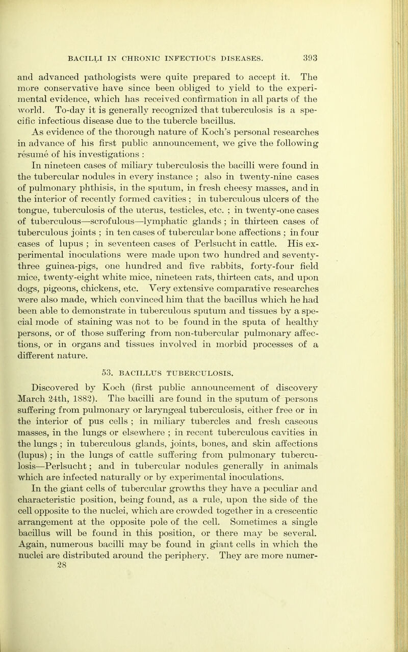 and advanced pathologists were quite prepared to accept it. The more conservative have since been obliged to yield to the experi- mental evidence, which has received confirmation in all parts of the world. To-day it is generally recognized that tuberculosis is a spe- cific infectious disease due to the tubercle bacillus. As evidence of the thorough nature of Koch's personal researches in advance of his first public announcement, we give the following resume of his investigations : In nineteen cases of miliary tuberculosis the bacilli were found in the tubercular nodules in every instance ; also in twenty-nine cases of pulmonary phthisis, in the sputum, in fresh cheesy masses, and in the interior of recently formed cavities ; in tuberculous ulcers of the tongue, tuberculosis of the uterus, testicles, etc. ; in twenty-one cases of tuberculous—-scrofulous—lymphatic glands ; in thirteen cases of tuberculous joints ; in ten cases of tubercular bone affections ; in four cases of lupus ; in seventeen cases of Perlsucht in cattle. His ex- perimental inoculations were made upon two hundred and seventy- three guinea-pigs, one hundred and five rabbits, forty-four field mice, twenty-eight white mice, nineteen rats, thirteen cats, and upon dogs, pigeons, chickens, etc. Very extensive comparative researches were also made, which convinced him that the bacillus which he had been able to demonstrate in tuberculous sputum and tissues by a spe- cial mode of staining was not to be found in the sputa of healthy persons, or of those suffering from non-tubercular pulmonary affec- tions, or in organs and tissues involved in morbid processes of a different nature. 53. BACILLUS TUBERCULOSIS. Discovered by Koch (first public announcement of discovery March 24th, 1882). The bacilli are found in the sputum of persons suffering from pulmonary or laryngeal tuberculosis, either free or in the interior of pus cells ; in miliary tubercles and fresh caseous masses, in the lungs or elsewhere ; in recent tuberculous cavities in the lungs; in tuberculous glands, joints, bones, and skin affections (lupus); in the lungs of cattle suffering from pulmonary tubercu- losis—Perlsucht; and in tubercular nodules generally in animals which are infected naturally or by experimental inoculations. In the giant cells of tubercular growths they have a peculiar and characteristic position, being found, as a rule, upon the side of the cell opposite to the nuclei, which are crowded together in a crescentic arrangement at the opposite pole of the cell. Sometimes a single bacillus will be found in this position, or there may be several. Again, numerous bacilli may be found in giant cells in which the nuclei are distributed around the periphery. They are more numer- 28