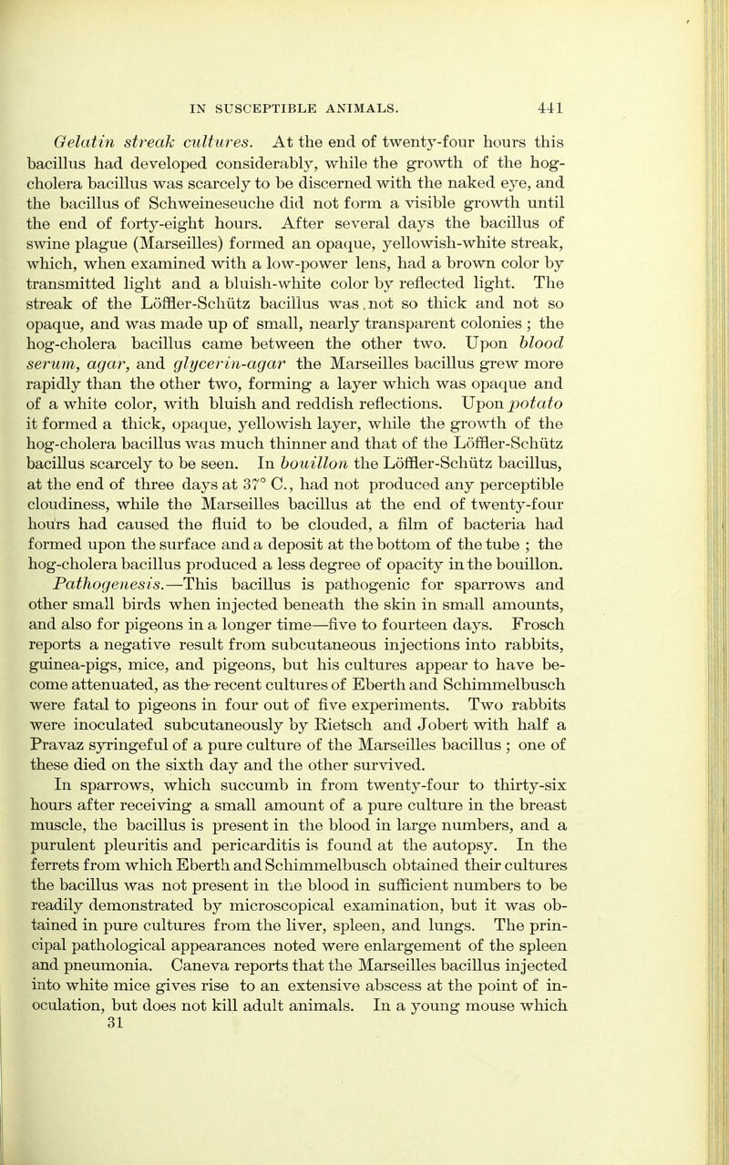 Gelatin streak cultures. At the end of twenty-four hours this bacillus had developed considerably, while the growth of the hog- cholera bacillus was scarcely to be discerned with the naked eye, and the bacillus of Schweineseuche did not form a visible growth until the end of forty-eight hours. After several days the bacillus of swine plague (Marseilles) formed an opaque, yellowish-white streak, which, when examined with a low-power lens, had a brown color by transmitted light and a bluish-white color by reflected light. The streak of the Loffler-Schiitz bacillus was. not so thick and not so opaque, and was made up of small, nearly transparent colonies ; the hog-cholera bacillus came between the other two. Upon blood serum, agar, and glycerin-agar the Marseilles bacillus grew more rapidly than the other two, forming a layer which was opaque and of a white color, with bluish and reddish reflections. Upon potato it formed a thick, opaque, yellowish layer, while the growth of the hog-cholera bacillus was much thinner and that of the Loffler-Schiitz bacillus scarcely to be seen. In bouillon the Loffler-Schiitz bacillus, at the end of three days at 37° C, had not produced any perceptible cloudiness, while the Marseilles bacillus at the end of twenty-four hours had caused the fluid to be clouded, a film of bacteria had formed upon the surface and a deposit at the bottom of the tube ; the hog-cholera bacillus produced a less degree of opacity in the bouillon. Pathogenesis.—This bacillus is pathogenic for sparrows and other small birds when injected beneath the skin in small amounts, and also for pigeons in a longer time—five to fourteen days. Frosch reports a negative result from subcutaneous injections into rabbits, guinea-pigs, mice, and pigeons, but his cultures appear to have be- come attenuated, as the- recent cultures of Eberth and Schimmelbusch were fatal to pigeons in four out of five experiments. Two rabbits were inoculated subcutaneously by Bietsch and Jobert with half a Pravaz syringeful of a pure culture of the Marseilles bacillus ; one of these died on the sixth day and the other survived. In sparrows, which succumb in from twenty-four to thirty-six hours after receiving a small amount of a pure culture in the breast muscle, the bacillus is present in the blood in large numbers, and a purulent pleuritis and pericarditis is found at the autopsy. In the ferrets from which Eberth and Schimmelbusch obtained their cultures the bacillus was not present in the blood in sufficient numbers to be readily demonstrated by microscopical examination, but it was ob- tained in pure cultures from the liver, spleen, and lungs. The prin- cipal pathological appearances noted were enlargement of the spleen and pneumonia. Caneva reports that the Marseilles bacillus injected into white mice gives rise to an extensive abscess at the point of in- oculation, but does not kill adult animals. In a young mouse which 31