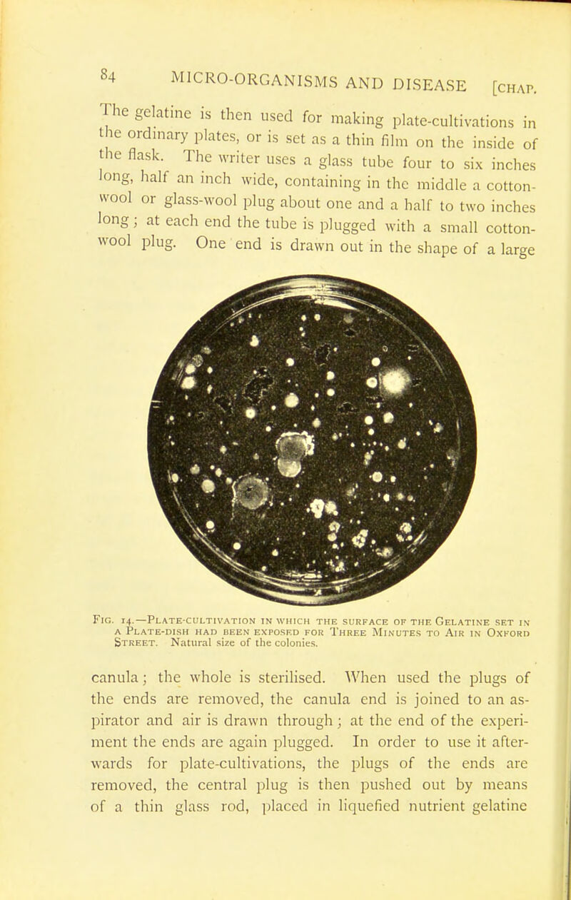 The gelatine is then used for making plate-cultivations in the ordmary plates, or is set as a thin film on the inside of the flask. The writer uses a glass tube four to six inches long, half an inch wide, containing in the middle a cotton- wool or glass-wool plug about one and a half to two inches long; at each end the tube is plugged with a small cotton- wool plug. One end is drawn out in the shape of a large Fig. 14.—Plate-cultivation in which the surface of the Gelatine set in A Plate-dish had been exposed for Three Minutes to Air in Oxford Street. Natural .size of the colonies. canula; the whole is sterilised. AVhen used the plugs of the ends are removed, the canula end is joined to an as- pirator and air is drawn through; at the end of the experi- ment the ends are again plugged. In order to use it after- wards for plate-cultivations, the plugs of the ends are removed, the central plug is then pushed out by means of a thin glass rod, placed in liquefied nutrient gelatine