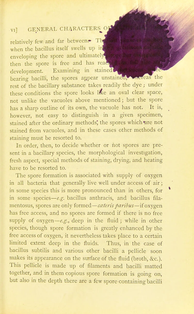 relatively few and far between.* Tin when the bacillus itself swells up ii-J enveloping the spore and ultimatel) then the spore is free and has read development. E.xamining in stained! bearing bacilli, the spores appear unstameTI,* WlWleas' the rest of the bacillary substance takes readily the dye; under these conditions the spore looks an oval clear space, not unhke the vacuoles above mentioned; but the spore has a sharp outline of its own, the vacuole has not. It is, however, not easy to distinguish in a given specimen, stained after the ordinary methods', the spores which are not stained from vacuoles, and in these cases other methods of staining must be resorted to. In order, then, to decide whether or not spores are pre- sent in a bacillary species, the morphological investigation, fresh aspect, special methods of staining, drying, and heating have to be resorted to. The spore formation is associated with supply of oxygen in all bacteria that generally live well under access of air; in some species this is more pronounced than in others, for in some species—e.g. bacillus anthracis, and bacillus fila- mentosus, spores are only formed—cateris paribus—if oxygen has free access, and no spores are formed if there is no free supply of oxygen—e.g., deep in the fluid ; while in other species, though spore formation is greatly enhanced by the free access of oxygen, it nevertheless takes place to a certain limited extent deep in the fluids. Thus, in the case of bacillus subtilis and various other bacilli a pellicle soon makes its appearance on the surface of the fluid (broth, &c.). This pellicle is made up of filaments and bacilli matted together, and in them copious spore formation is going on, but also in the depth there are a few spore-containing bacilli