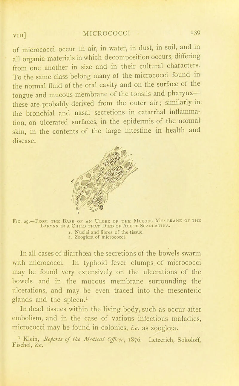 of micrococci occur in air, in water, in dust, in soil, and m all organic materials in which decomposition occurs, differing from one another in size and in their cultural characters. To the same class belong many of the micrococci found in the normal fluid of the oral cavity and on the surface of the tongue and mucous membrane of the tonsils and pharynx— these are probably derived from the outer air; similarly in the bronchial and nasal secretions in catarrhal inflamma- tion, on ulcerated surfaces, in the epidermis of the normal skin, in the contents of the large intestine in health and disease. Fig. 29.—From the Base of an Ulcer of the Mucous Membrane of the Larynx in a Child that Died of Acute Scarlatina. 1. Nuclei and fibres of the tissue. 2. Zoogloea of micrococci. In all cases of diarrhoea the secretions of the bowels swarm with micrococci. In tyi:)hoid fever clumps of micrococci may be found very extensively on the ulcerations of the bowels and in the mucous membrane surrounding the ulcerations, and may be even traced into the mesenteric glands and the spleen.^ In dead tissues within the living body, such as occur after embolism, and in the case of various infectious maladies, micrococci may be found in colonies, t'.e. as zoogloea. 1 Kl ein, Hcpovts of tJic JMcdical OJficc}\ 1876. Letzerich, Sokoloff, Fische], &c.