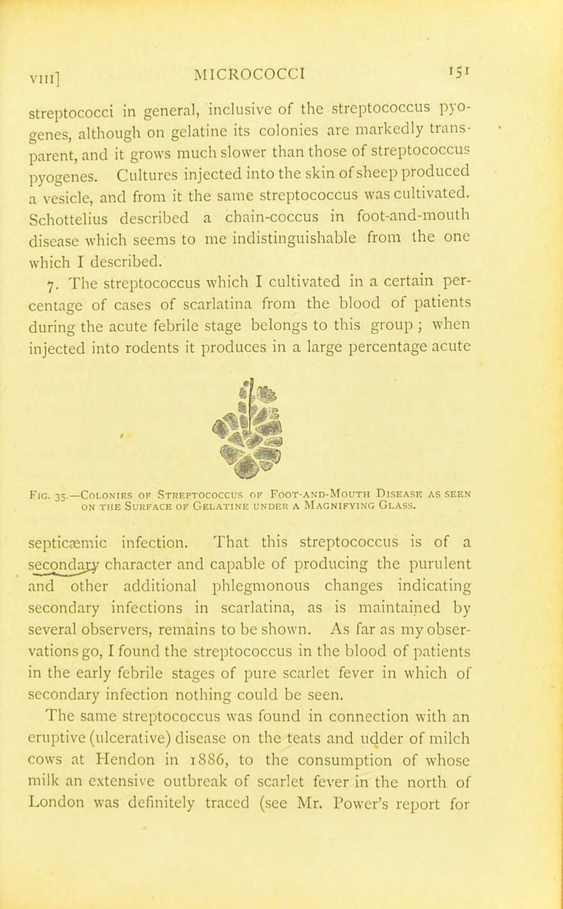 streptococci in general, inclusive of the streptococcus pyo- genes, although on gelatine its colonies are markedly trans- parent, and it grows much slower than those of streptococcus pyogenes. Cultures injected into the skin of sheep produced a vesicle, and from it the same streptococcus was cultivated. Schottelius described a chain-coccus in foot-and-mouth disease which seems to me indistinguishable from the one which I described. 7. The streptococcus which I cultivated in a certain per- centage of cases of scarlatina from the blood of patients during the acute febrile stage belongs to this group ; when injected into rodents it produces in a large percentage acute Fig. 35.—Colonies of Streptococcus of Foot-and-Mouth Disease as seen ON THE Surface of Gelatine under a Magnifying Glass. septicsemic infection. That this streptococcus is of a s£Conda]:y character and capable of producing the purulent and other additional phlegmonous changes indicating secondary infections in scarlatina, as is maintained by several observers, remains to be shown. As far as my obser- vations go, I found the streptococcus in the blood of patients in the early febrile stages of pure scarlet fever in which of secondary infection nothing could be seen. The same streptococcus was found in connection with an eruptive (ulcerative) disease on the teats and udder of milch cows at Hendon in 1886, to the consumption of whose milk an extensive outbreak of scarlet fever in the north of London was definitely traced (see Mr. Power's report for