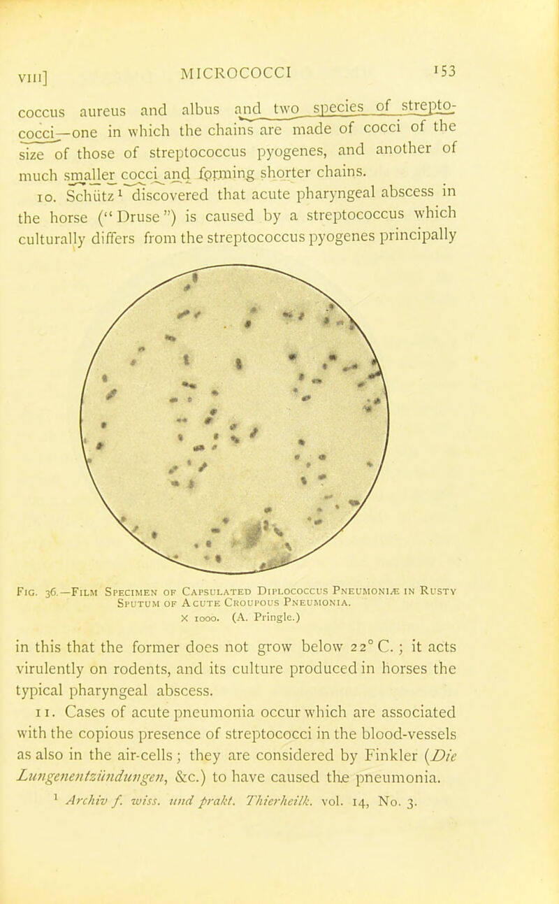 coccus aureus and albus ajTdJwo__s2ecies__^ cocci—one in which the chains are made of cocci of the size of those of streptococcus pyogenes, and another of much smaHer^ coccj^and ippning shorter chains. 10. Schiitzi discovered that acute pharyngeal abscess in the horse (Druse) is caused by a streptococcus which culturally differs from the streptococcus pyogenes principally Fig. 36.—Film Specimen of Capsulated Diplococcus Pneumoni^Ii in Rusty Sputum of Acute Croupous Pneumonia. X 1000. (A. Pringle.) in this that the former does not grow below 22° C. ; it acts virulently on rodents, and its culture produced in horses the typical pharyngeal abscess. II. Cases of acute pneumonia occur which are associated with the copious presence of streptococci in the blood-vessels as also in the air-cells ; they are considered by Finkler (Die Ltmgenentziinduitgen, &c.) to have caused the pneumonia. ' Archiv f. wiss. iiud prakt. Thicrhcilk. vol. 14, No. 3.