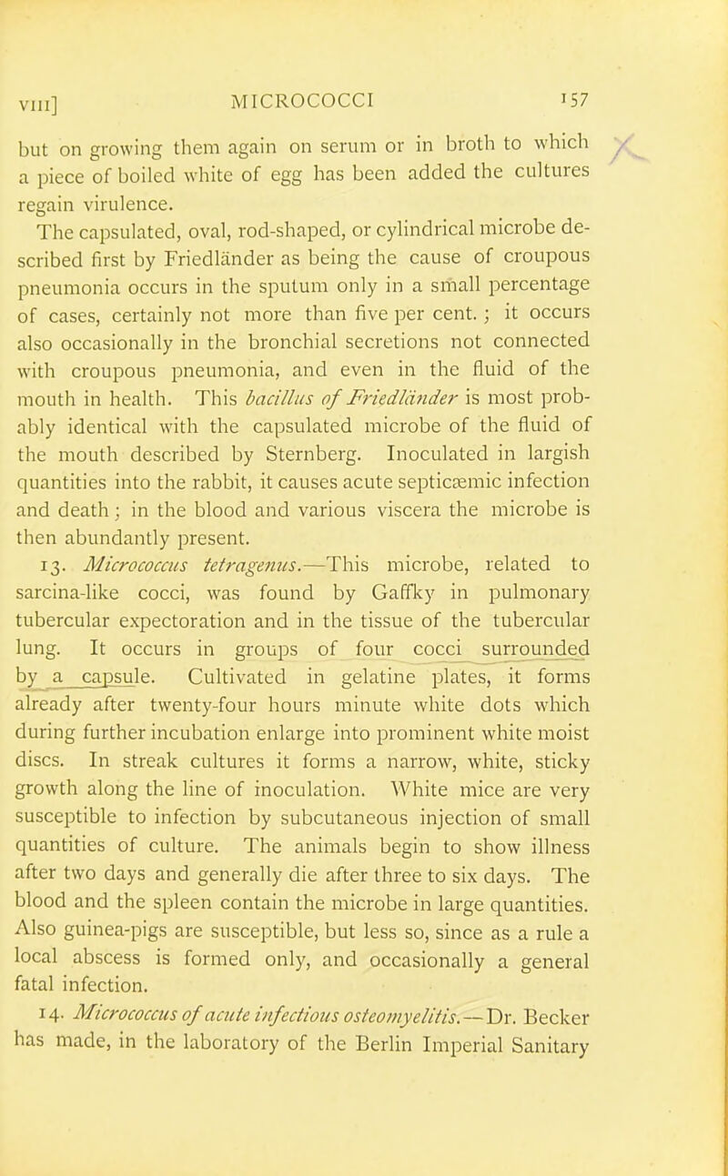 but on growing them again on serum or in broth to which a piece of boiled white of egg has been added the cultures regain virulence. The capsulated, oval, rod-shaped, or cyHndrical microbe de- scribed first by Friedlander as being the cause of croupous pneumonia occurs in the sputum only in a small percentage of cases, certainly not more than five per cent.; it occurs also occasionally in the bronchial secretions not connected with croupous pneumonia, and even in the fluid of the mouth in health. This bacillus of Friedliiiider is most prob- ably identical with the capsulated microbe of the fluid of the mouth described by Sternberg. Inoculated in largish quantities into the rabbit, it causes acute septicsemic infection and death; in the blood and various viscera the microbe is then abundantly present. 13. Micrococcus tetragenus.—This microbe, related to sarcina-like cocci, was found by Gaffky in pulmonary tubercular expectoration and in the tissue of the tubercular lung. It occurs in groups of four cocci surrounded by a capsule. Cultivated in gelatine plates, it forms already after twenty-four hours minute white dots which during further incubation enlarge into prominent white moist discs. In streak cultures it forms a narrow, white, sticky growth along the line of inoculation. White mice are very susceptible to infection by subcutaneous injection of small quantities of culture. The animals begin to show illness after two days and generally die after three to six days. The blood and the spleen contain the microbe in large quantities. Also guinea-pigs are susceptible, but less so, since as a rule a local abscess is formed only, and occasionally a general fatal infection. 14. Micrococcus of acute infectious osteomyelitis.—Dr. Becker has made, in the laboratory of the Berlin Imperial Sanitary