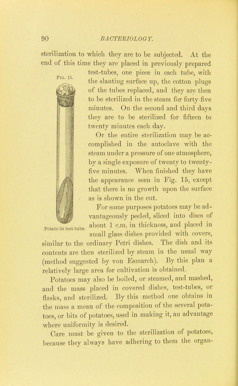 Fig. 15. sterilization to which they are to be subjected. At the end of this time they are placed in previously prepared test-tubes, oue piece in each tube, with the slanting surface up, the cotton plugs of the tubes replaced, and they are then to be sterilized iu the steam for forty five minutes. On the second and third days they are to be sterilized for fifteen to twenty minutes each day. Or the eutire sterilization may be ac- complished in the autoclave with the steam under a pressure of one atmosphere, by a single exposure of twenty to twenty- five minutes. When finished they have the appearance seen iu Fig. 15, except that there is no growth upon the surface as is shown in the cut. For some purposes potatoes may be ad- vantageously peeled, sliced into discs of ^ . . . . .. V, about 1 cm. in thickness, and placed in Potato m test-tube. ' . ^ small glass dishes provided with covers, similar to the ordinary Petri dishes. The dish and its contents are then sterilized by steam in the usual way (method suggested by von Esmarch). By this plan a relatively large area for cultivation is obtained. Potatoes may also be boiled, or steamed, and mashed, and the mass placed in covered dishes, test-tubes, or flasks, and sterilized. By this method one obtains in the mass a mean of the composition of the several pota- toes, or bits of potatoes, used in making it, an advantage where uniformity is desired. Care must be given to the sterilization of potatoes, because they always have adhering to them the organ-