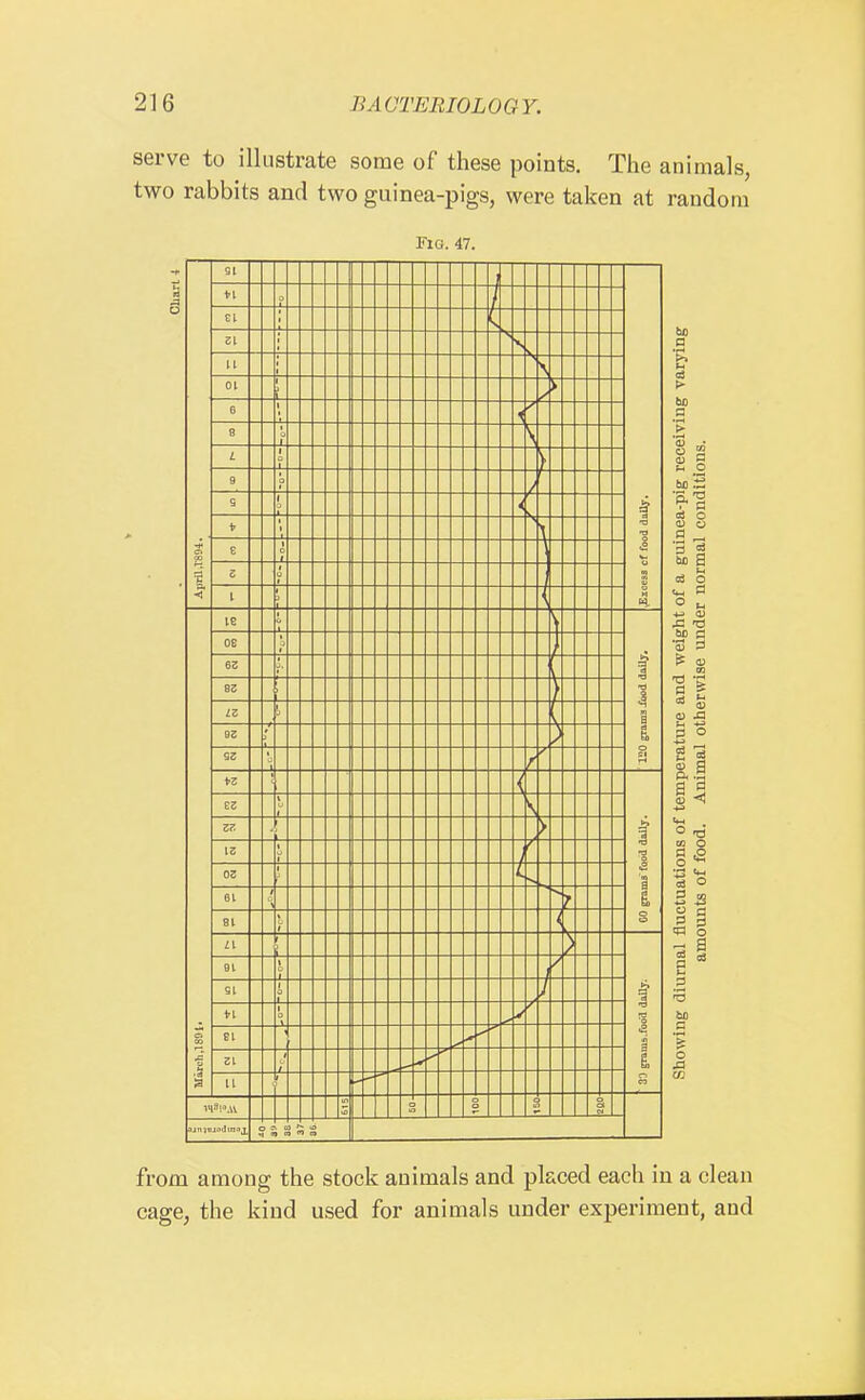 serve to illustrate some of these points. The animals, two rabbits and two guinea-pigs, were taken at random Fig. 47. from among the stock animals and placed each in a clean cage, the kind used for animals under experiment, and