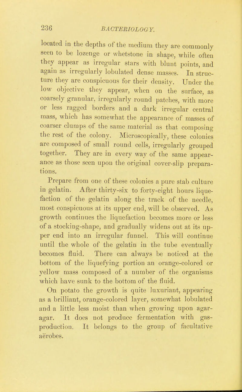 located in the depths of the medium they are commonly seen to be lozenge or whetstone in shape, while often they appear as irregular stars with blunt points, and again as irregularly lobulated dense masses. In struc- ture they are conspicuous for their deusity. Under the low objective they appear, when on the surface, as coarsely granular, irregularly round patches, with more or less ragged borders and a dark irregular central mass, which has somewhat the appearance of masses of coarser clumps of the same material as that composing the rest of the colony. Microscopically, these colonies are composed of small round cells, irregularly grouped together. They are in every way of the same appear- ance as those seen upou the original cover-slip prepara- tions. Prepare from one of these colonies a pure stab culture in gelatin. After thirty-six to forty-eight hours lique- faction of the gelatin along the track of the needle, most conspicuous at its upper end, will be observed. As growth continues the liquefaction becomes more or less of a stockiug-shape, and gradually widens out at its up- per end into an irregular funnel. This will continue until the whole of the gelatin in the tube eventually becomes fluid. There can always be noticed at the bottom of the liquefying portion an orange-colored or yellow mass composed of a number of the organisms which have sunk to the bottom of the fluid. On potato the growth is quite luxuriant, appearing as a brilliant, orange-colored layer, somewhat lobulated and a little less moist than when growing upon agar- agar. It does not produce fermentation with gas- production. It belongs to the group of facultative aerobes.
