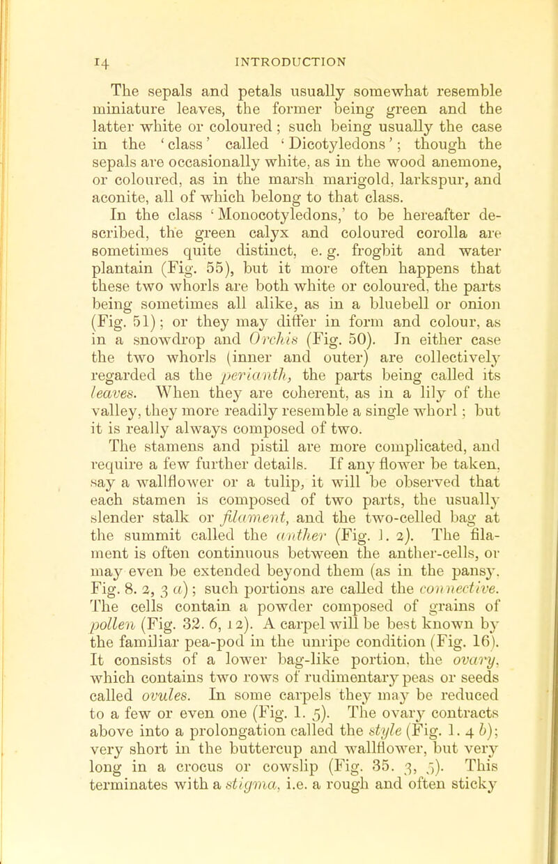 H The sepals and petals usually somewhat resemble miniature leaves, the former being green and the latter white or coloured; such being usually the case in the ' class' called ' Dicotyledons'; though the sepals are occasionally white, as in the wood anemone, or coloured, as in the marsh marigold, larkspur, and aconite, all of which belong to that class. In the class ' Monocotyledons,' to be hereafter de- scribed, the green calyx and coloured corolla are sometimes quite distinct, e. g. frogbit and water plantain (Fig. 55), but it more often happens that these two whorls are both white or coloured, the parts being sometimes all alike, as in a bluebell or onion (Fig. 51); or they may differ in form and colour, as in a snowdrop and Orchis (Fig. 50). In either case the two whorls (inner and outer) are collectively regarded as the perianth, the parts being called its leaves. When they are coherent, as in a lily of the valley, they more readily resemble a single whorl; but it is really always composed of two. The stamens and pistil are more complicated, and require a few further details. If a,ny flower be taken, say a wallflower or a tulip, it will be observed that each stamen is composed of two parts, the usually slender stalk or filament, and the two-celled bag at the summit called the anther (Fig. J. 2). The fila- ment is often continuous between the anther-cells, or may even be extended beyond them (as in the pans}-. Fig. 8. 2, 3 a) ; such portions are called the connective. The cells contain a powder composed of grains of pollen (Fig. 32. 6, 12). A carpel will be best known by the familiar pea-pod in the unripe condition (Fig. 16). It consists of a lower bag-like portion, the ovary, which contains two rows of rudimentary peas or seeds called ovules. In some carpels they may be reduced to a few or even one (Fig. 1. 5). The ovary contracts above into a prolongation called the style (Fig. 1. 4 i); very short in the buttercup and wallflower, but very long in a crocus or cowslip (Fig. 35. 3, 5). This terminates with a stigma, i.e. a rough and often sticky