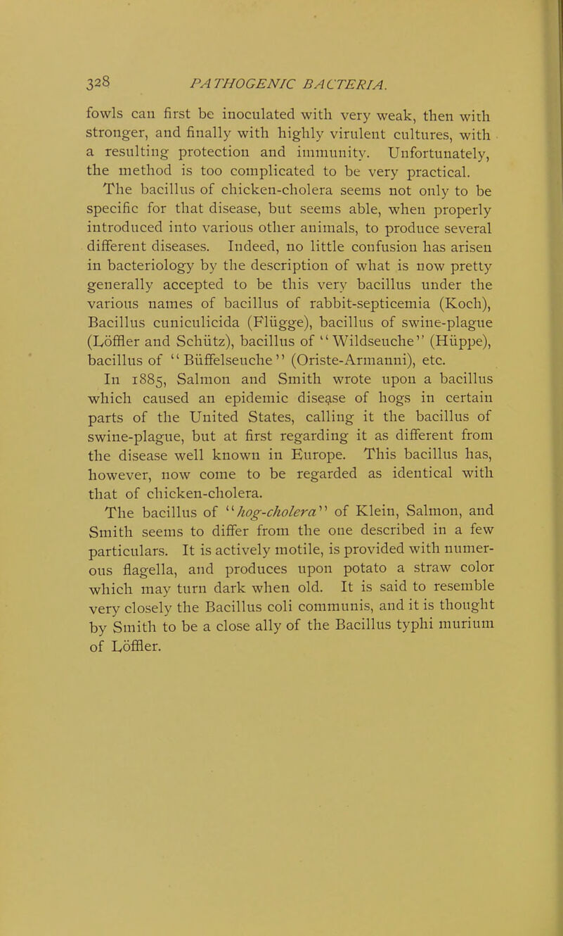 fowls can first be inoculated with very weak, then with stronger, and finally with highly virulent cultures, with a resulting protection and immunity. Unfortunately, the method is too complicated to be very practical. The bacillus of chicken-cholera seems not only to be specific for that disease, but seems able, when properly introduced into various other animals, to produce several different diseases. Indeed, no little confusion has arisen in bacteriology by the description of what is now pretty generally accepted to be this very bacillus under the various names of bacillus of rabbit-septicemia (Koch), Bacillus cuniculicida (Fliigge), bacillus of swine-plague (Ivoffler and Schiitz), bacillus of  Wildseuche (Hiippe), bacillus of  Biiffelseuche  (Oriste-Armanni), etc. In 1885, Salmon and Smith wrote upon a bacillus which caused an epidemic disease of hogs in certain parts of the United States, calling it the bacillus of swine-plague, but at first regarding it as different from the disease well known in Europe. This bacillus has, however, now come to be regarded as identical with that of chicken-cholera. The bacillus of hog-cholera of Klein, Salmon, and Smith seems to differ from the one described in a few particulars. It is actively motile, is provided with numer- ous flagella, and produces upon potato a straw color which may turn dark when old. It is said to resemble very closely the Bacillus coli communis, and it is thought by Smith to be a close ally of the Bacillus typhi murium of Uoffler.