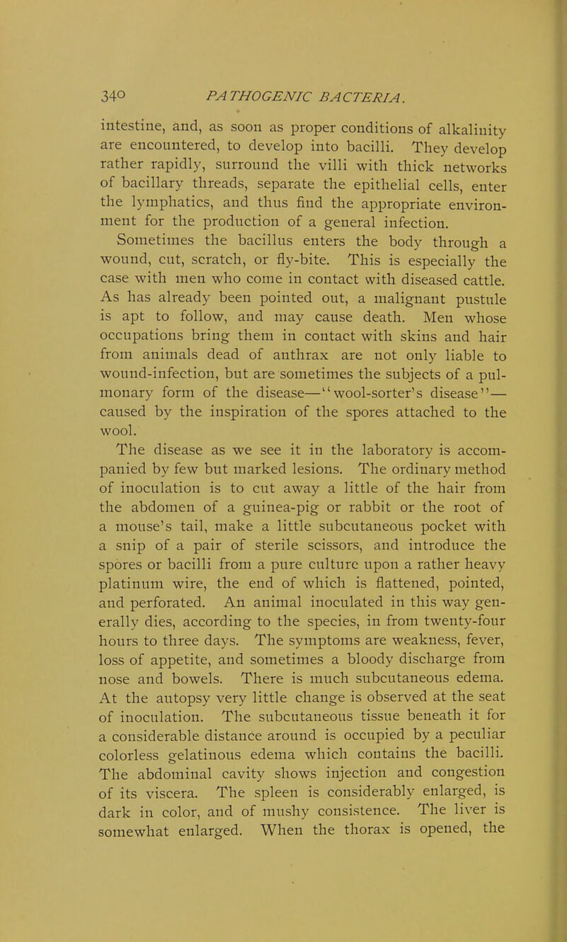 intestine, and, as soon as proper conditions of alkalinity are encountered, to develop into bacilli. They develop rather rapidly, surround the villi with thick networks of bacillary threads, separate the epithelial cells, enter the lymphatics, and thus find the appropriate environ- ment for the production of a general infection. Sometimes the bacillus enters the body through a wound, cut, scratch, or fly-bite. This is especially the case with men who come in contact with diseased cattle. As has already been pointed out, a malignant pustule is apt to follow, and may cause death. Men whose occupations bring them in contact with skins and hair from animals dead of anthrax are not only liable to wound-infection, but are sometimes the subjects of a pul- monary form of the disease—wool-sorter's disease— caused by the inspiration of the spores attached to the wool. The disease as we see it in the laboratory is accom- panied by few but marked lesions. The ordinary method of inoculation is to cut away a little of the hair from the abdomen of a guinea-pig or rabbit or the root of a mouse's tail, make a little subcutaneous pocket with a snip of a pair of sterile scissors, and introduce the spores or bacilli from a pure culture upon a rather heavy platinum wire, the end of which is flattened, pointed, and perforated. An animal inoculated in this way gen- erally dies, according to the species, in from twenty-four hours to three days. The symptoms are weakness, fever, loss of appetite, and sometimes a bloody discharge from nose and bowels. There is much subcutaneous edema. At the autopsy very little change is observed at the seat of inoculation. The subcutaneous tissue beneath it for a considerable distance around is occupied by a peculiar colorless gelatinous edema which contains the bacilli. The abdominal cavity shows injection and congestion of its viscera. The spleen is considerably enlarged, is dark in color, and of mushy consistence. The liver is somewhat enlarged. When the thorax is opened, the