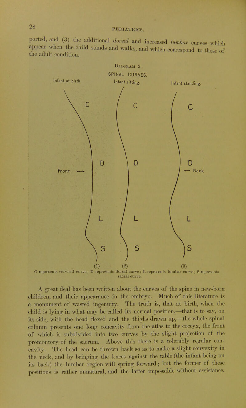 PEDIATRICS. ported, and (3) the additional dorsal and increased lumbar curves which appear when the child stands and walks, and which correspond to those of the adult condition. Diagram 2. SPINAL CURVES. Infant at birth. Infant sitting. (2) Infant standing. (3) C represents cervical curve; D represents dorsal curve; L represents lumbar curve; S represents sacral curve. A great deal has been written about the curves of the spine iu new-born children, and their appearance in the embryo. Much of this literature is a monument of wasted ingenuity. The truth is, that at birth, when the child is lying in what may be called its normal position,—that is to say, on its side, with the head flexed and the thighs drawn up,—the whole spinal column presents one long concavity from the atlas to the coccyx, the front of which is subdivided into two curves by the slight projection of the promontory of the sacrum. Above this there is a tolerably regular con- cavity. The head can be thrown back so as to make a slight convexity in the neck, and bv bringing the knees against the table (the infant being on its back) the lumbar region will spring forward ; but the former of these positions is rather unnatural, and the latter impossible without assistance.