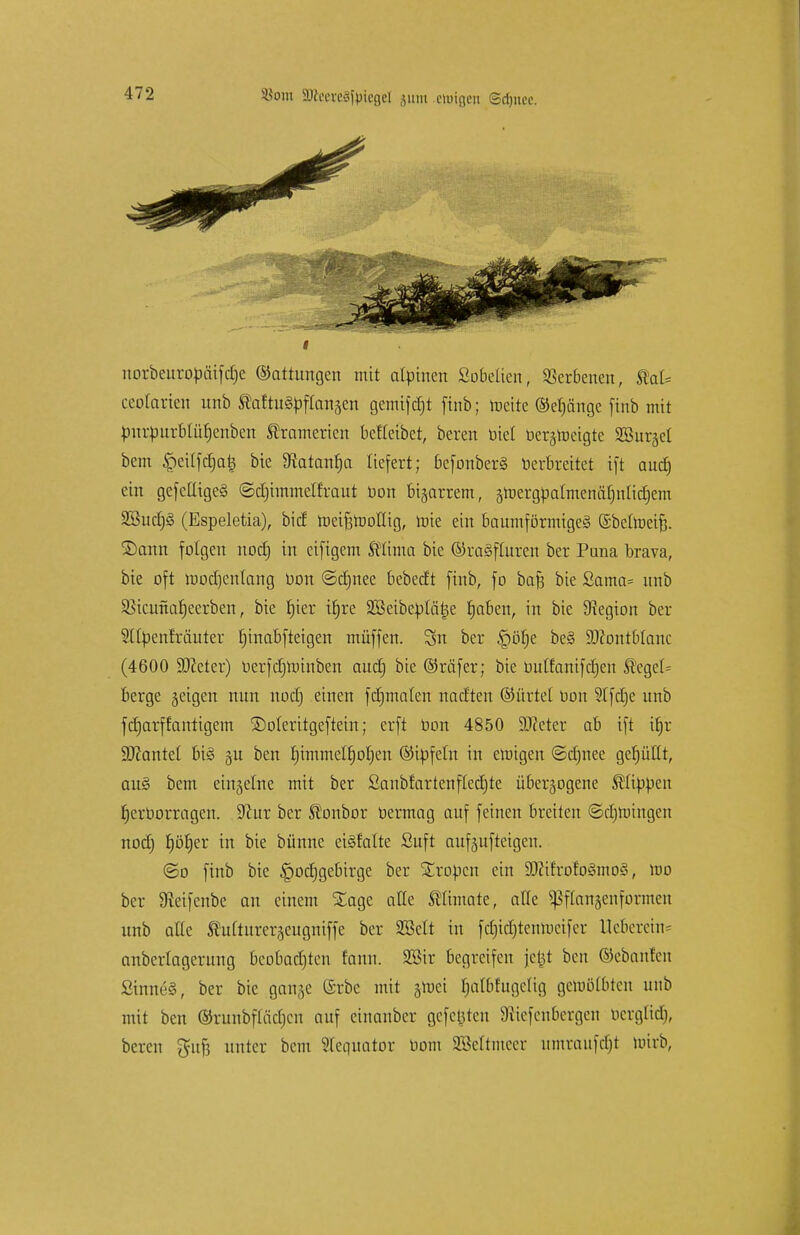 4tom SKwreäf^iegeJ sum-etotgen ©djucc. e norbeuropäifc§e ©attungen mit alpinen Sobetien, SSerbenen, tal= ceotarien itnb SMtuSbflangen gemtfdjt finb; toette (Mjänge finb mit burburblütjenben Shamerien beffefbet, beren biet bergrocigte Sßurgel bem ^eilfdjat* bie 9iatantja liefert; befonberä tierbreitet ift aud) ein gefctligeS «Sdjimmetfraut Don bigarrem, gtüergbatmenäfjntidjem SBucfjS (Espeletia), bic! roeiftmollig, roie ein baumförmtgeS ©beltneifs. SDann folgen nod) in eifigem 5flima bte ©raSfluren ber Puna brava, bte oft mod)cnlang bon ©djnee bebecl't finb, fo bafe bie ßama= itnb ^icunafjeerben, bie f)ier itjre Sßeibcbläfcie fjaben, in bie Legion ber 2l(benfräuter Ijinabfteigen muffen. 3ht ber £)öf)e be§ ättontblanc (4600 9J?cter) berfdjnnnben aud) bie ©räfer; bie bulfanifdjen ß'egel= berge geigen nun nod) einen formalen nacf'ten ©ürtel bon ?tfd)e unb fdjarffantigem ©oleritgeftein; erft bon 4850 üDMer ab ift ifjr Hantel bi§ gu ben f)immelf)ol)en ©ibfeln in einigen ©djnee gcfjütlt, am§ bem einjelrte mit ber £aubfartenfled)te übergogene ^lipbcn fjerborragen. üftur ber Äonbor bermag auf feinen breiten ©djrüingcn nod) fjöfjer in bie bünne einfalle Suft aufgufteigen. @o finb bie §ocfjgebirge ber Proben ein 3)?ifrofogmo§, mo ber Sfaifenbe an einem Sage alte Älimate, alle $)3flangenformen unb alle SMturergeugniffe ber SSelt in fcrjidjtentoeifer lleberein^ anbcrlagerung bcobadjten fann. 2Bir begreifen je^t ben ©cbantcu £inne§, ber bic gange ©rbe mit groci fjalbfugelig gcmolbtcn unb mit ben ©runbflüdjcn auf einanber gefegten 9iicfeubergen bergßdj, bereu guft unter bem Slciiuator bom Mtmeer umtaufdjt toirb,