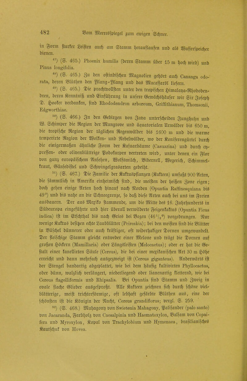 4S2 SSont 9)icereäipicgel 311m cmigcn ©ri)itce. in 3-ovnt ftarfer Seiften aud) nm ©tamm herauftaufen unb als SBaffcrfbeidjcr bienen. ,7j (©. 465.) Phoenix humilis (bereit ©tamm über 15 m Ijod) roirb) unb Pinus longifolia. ls) (©. 465.) 3» ben ofttttbifdjen «Magnolien gehört aud) Cananga odo- fata, bereu SBMtfjen beti g)Iang-?)Iang unb ba3 SMacaffaröl liefern. (©. 465.) S)ie bracbtbotlften unter ben trobifd)en §imalat)a*9it)oboben= breit, boren ftenntnifc unb (Silifütjrung itt unfere (3)etüädrj§rjaufer toir @ir Qofcpf) ®. §oofcr berbaufen, ftitb Rhododendron arboreum, Griffithianum, Thomsonii, Edgworthiae. ^ B0) (@. 466.) ^it ben ©ebirgen bon Qaba unterfebeiben 3ungbuf)n u«b SB. ©d)intbcr bic 9tegioit ber SMangrobe unb äquatorialen Urroälber bi§ 650 m, bte tropifdje 3tcgion ber tägtietjen 9iegenroälber bi§ 1600 m unb bie roarme tetnpcrtrte Legion ber SSotf'cn* unb Mebetmätber, roo ber ftoniferengürtel burd) bie eimgermafseu är)nltd)e gorm ber Safuarbäume (Casuarina) unb burd) cü» breffen* ober otibenbtättrige Sßobofarben bertreten roirb, unter benen ein gtor bon ganj eitrobäifdjem Slnfefien, Sßotflmitcb, S3iberttelt, SBegerid), Schimmel* traut, ©äufebiftel unb ©cbttnngetgralarten gebeibt. 5l) (©. 467.) 2>ie gamitie ber Äalttt§bftanjen (Äafteeu) umfaßt 900 Strten, bie fämmtlid) in Stmerifa eiutjeimifch finb, bie nteiften ber beifjen £one eigen; bod) gehen einige SCrten fjoch hinauf uad) Horben (Opuntia Raffinesquiana bi§ 49°) unb bi§ nctlje an bte ©djneegrenje, fo ba§ biefe Strien aud) bei uu§ im freien au^bauern. Ser au§ SMertfo ftammenbe, um bie äftitte be§ 16. ^afjrbunbcrtä in ©übeuroba eingeführte unb hier überall bernrilberte geigenfaftuS (Opuntia Ficus indica) ift im @tfd)tf)at bi§ nach @rie§ bei S3ojen (46 V20) borgebrungen. Mur roettige ®aftu§ befreit ecfjte Saubblätter (Peireskia); bei ben nteiften finb bie Sölätter in 93üfd)et bünnerer ober aud) fräftiger, oft roiberljafiger SDortten umgemanbelt. ®er fleif<hige ©tamm gteidjt entmeber einer -JJcetoite unb trägt bte 2)ornen auf großen Rödern (Mamillaria) ober Säugäteifteit (Melocaetus); ober er bat bie ®e= ftalt einer fanetlirten ©äute (Cereus), bie bei einer meEifanifdjen 9trt 30 m §öl)e crrcidjt unb bann meljrfad) auSgejroeigt ift (Cereus giganteus). 2lnberwärt3 ift ber ©tcitgcl banbarttg abgeplattet, mie bei beut Jjäufig fttltibirten Phyllocactus, ober bünu, roatsttd) berläugert, nieberliegenb ober lianenartig tletterttb, roie bei Cereus flagelliformis unb Rhipsalis. SBei Opuntia finb Stamm unb glbcig W obale ftacbe ©lieber auSgefbrofst. Stile taf'tecn geidmeit ftd) burd) fd)önc biet* blätterige, meift rridjterförrntge, oft lebhaft gefärbte 93lütt)en au3, eine ber jdjönften ift bie Königin ber Mad)t, Cereus grandiflorus; bergt. ©. 259. M) (@. 468.) SMafyagont) bon Swietenia Mahagony, ^aüfauber (palo santo) bon Jacaranda, garbtjotä bon Caesalpinia unb Haomatoxylon, ähitfant bon Copai- fera unb Myroxylon, Äobat bon Trachylobiuui unb Hymenaea, braftliauifdjcS ®autfd)iif bon Hovea.