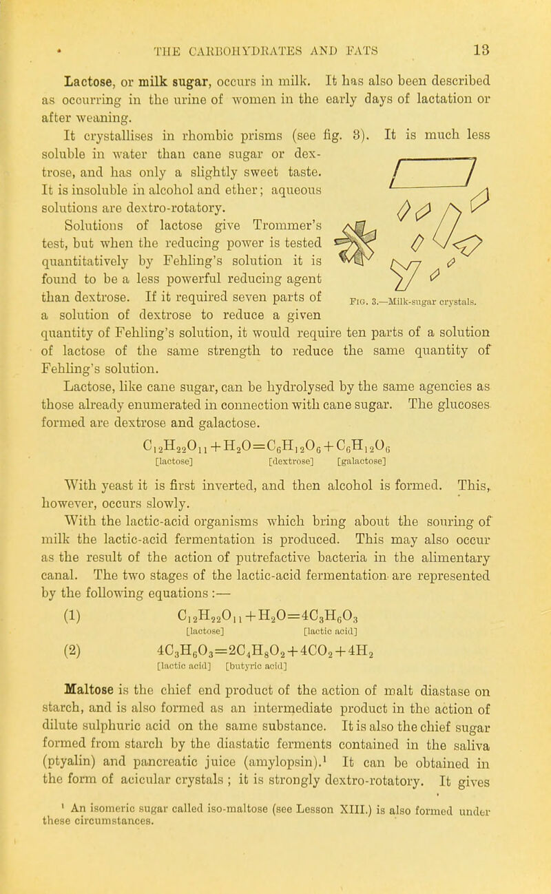Lactose, or milk sugar, occurs in milk. It has also been described as occurring in the urine of women in the early days of lactation or after weaning. It crystallises in rhombic prisms (see fig. 3). It is much less soluble in water than cane sugar or dex- trose, and has only a slightly sweet taste. It is insoluble in alcohol and ether; aqueous solutions are dextro-rotatory. Solutions of lactose giA'e Trommer's test, but when the reducing power is tested quantitatively by Fehling's solution it is found to be a less powerful reducing agent than dextrose. If it required seven parts of a.-MUk-sugar crystals, a solution of dextrose to reduce a given quantity of Fehling's solution, it would require ten parts of a solution of lactose of the same strength to reduce the same quantity of Fehhng's solution. Lactose, like cane sugar, can be hydrolysed by the same agencies as those already enumerated in connection with cane sugar. The glucoses, formed are dextrose and galactose. C12H02O11 + H20=CeH|20(;-f CgHiaOg [lactose] [dextrose] [galactose] With yeast it is first inverted, and then alcohol is formed. This,, however, occurs slowly. With the lactic-acid organisms which bring about the souring of milk the lactic-acid fermentation is produced. This may also occur as the result of the action of putrefactive bacteria in the alimentary canal. The two stages of the lactic-acid fermentation are represented by the following equations :— (1) C,2H220„+H20 = 4C3H603 [lactose] [lactic acid] (2) 4C3H603=2C4H802 + 4C02 + 4H2 [lactic aciil] [butyric acid] Maltose is the chief end product of the action of malt diastase on starch, and is also formed as an intermediate product in the action of dilute sulphuric acid on the same substance. It is also the chief sugar formed from starch by the diastatic ferments contained in the saliva (ptyalin) and pancreatic juice (amylopsin).* It can be obtained in the form of acicular crystals ; it is strongly dextro-rotatory. It gives ' An isomeric sugar called iso-maltose (see Lesson XIII.) is also formed under these circumstances.