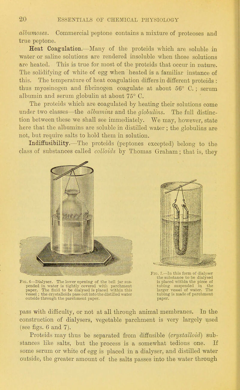 albumoses. Commercial peptone contains a mixture of proteoses and true peptone. Heat Coagulation.—Many of the proteids which are soluble in water or saline solutions are rendered insoluble when those solutions are heated. This is true for most of the proteids that occur in nature. The solidifying of white of egg when heated is a familiar instance of this. The temperature of heat coagulation differs in different proteids : thus myosinogen and fibrinogen coagulate at about 56° C. ; serum albumin and serum globulin at about 75° C. The proteids which are coagulated by heating their solutions come under two classes—the alhimins and the globidins. The full distinc- tion between these we shall see immediately. We may, however, state here that the albumins are soluble in distilled water ; the globulins are not, but require salts to hold them in solution. Indiffusibility.—The proteids (peptones excepted) belong to the class of substances called colloids by Thomas Graham; that is, they Fio. 6—Dialyser. The lower opening of the bell jar sus- is placed within the piece of pended iu water is tightly covered with parchment tubing suspended iii the paper-. The fluid to be dialysed is placed within tliis larger vessel of water. The vessel; the crystalloids pass out into the distilled water tubing is made of parohmeut outside through the parchment paper. paper. pass with difficulty, or not at all through animal membranes. In the construction of dialysers, vegetable parchment is very largely used (see figs. 6 and 7). Proteids may thus be separated from diffusible (crystalloid) sub- stances like salts, but the process is a somewhat tedious one. If some serum or white of egg is placed in a dialyser, and distilled water outside, the greater amount of the salts passes into the water through