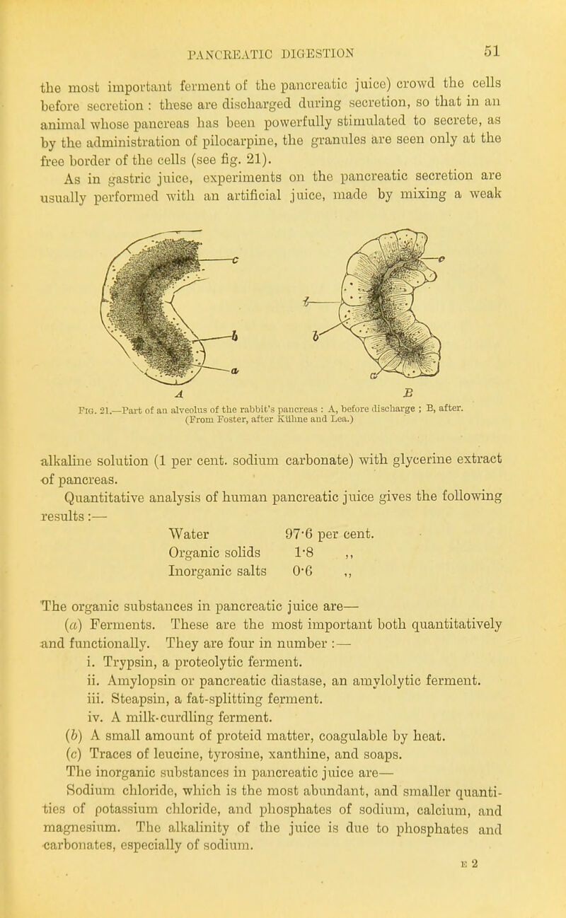 the most important ferment of the pancreatic juice) crowd the cells before secretion : these are discharged during secretion, so that in an animal whose pancreas has been powerfully stimulated to secrete, as by the administration of pilocarpine, the granules are seen only at the free border of the cells (see fig. 21). As in gastric juice, experiments on the pancreatic secretion are usually performed with an artificial juice, made by mixmg a weak Fig. 21.—Part of aa alveolus of the rabbit's pancreas : A, before discharge ; B, after. (From Foster, after Kiilme and Lea.) alkaline solution (1 per cent, sodium carbonate) with glycerine extract of pancreas. Quantitative analysis of human pancreatic juice gives the following results:— Water 97*6 per cent. Organic solids 1*8 ,, Inorganic salts 0*6 ,, The organic substances in pancreatic juice are— (a) Ferments. These are the most important both quantitatively and functionally. They are four in number : — i. Trypsin, a proteolytic ferment. ii. Amylopsin or pancreatic diastase, an amylolytic ferment. iii. Steapsin, a fat-splitting ferment. iv. A milk-curdling ferment. (6) A small amount of proteid matter, coagulable by heat. (c) Traces of leucine, tyrosine, xanthine, and soaps. The inorganic substances in pancreatic juice are— Sodium chloride, which is the most abundant, and smaller quanti- ties of potassium chloride, and phosphates of sodium, calcium, and magnesium. The alkalinity of the juice is due to phosphates and carbonates, especially of sodium. E 2