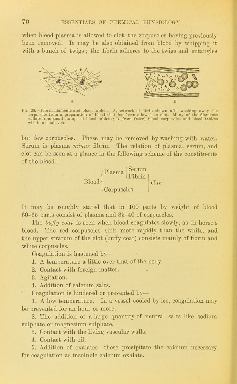 when blood plasma is allowed to clot, the corpuscles having previously been removed. It may be also obtained from blood by whipping it with a bunch of twigs; the fibrin adheres to the twigs and entangles Fxc. 28.—Fibrin filaments and blood tablets. A, network of fibi-in sliown after washing away the corpuscles from a preparation of blood tliut liiis been allowed to clot. Many of the filaments radiate from small clumps of blood tablets; B (from Osier;, Idood corpuscles and blood tablets within a small vein. but few corpuscles. These may be removed by washing with water. Serum is plasma minus fibrin. The relation of plasma, serum, and clot can be seen at a glance in the following scheme of the constituents of the blood :— /Plasma I i Fibrm Blood j '-Clot Corpuscles ) It may be roughly stated that in 100 parts by weight of blood 60-65 parts consist of plasma and 35-40 of corpuscles. The buffy coat is seen when blood coagulates slowly, as in horse's blood. The red corpuscles sink more rapidly than the white, and the upper stratum of the clot (bulfy coat) consists mainly of fibrin and white corpuscles. Coagulation is hastened by— 1. A temperature a little over that of the body. 2. Contact with foreign matter. 3. Agitation. 4. Addition of calcium salts. Coagulation is hindered or prevented by— 1. A low temperature. In a vessel cooled by ice, coagulation may be prevented for an hour or more. 2. The addition of a large quantity of neutral salts like sodium sulphate or magnesium sulphate. 3. Contact with the living vascular walls. 4. Contact with oil. 5. Addition of oxalates: these precipitate the calcium necessary for coagulation as insoluble calcium oxalate.