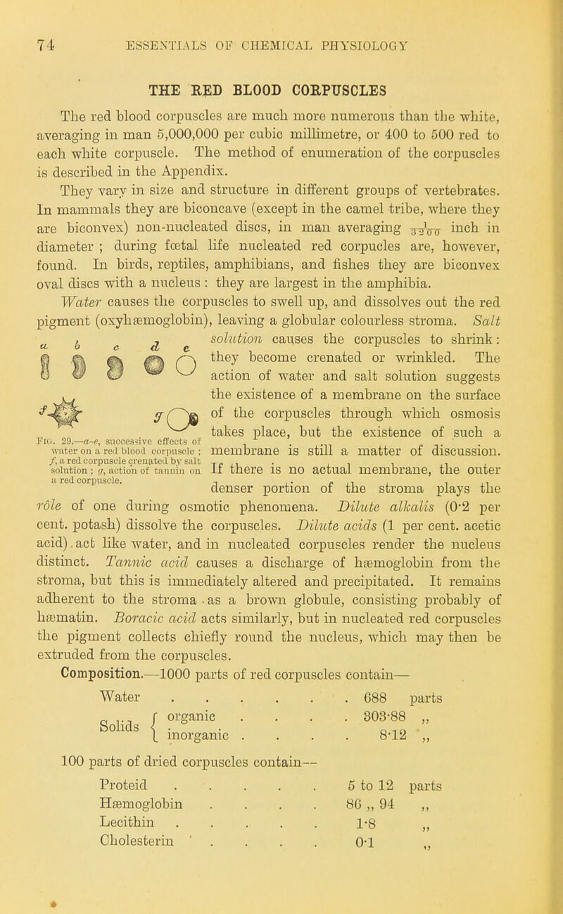 THE RED BLOOD CORPUSCLES Tlie red blood corpuscles are much more numerous than the white, averaging in man 5,000,000 per cubic milhmetre, or 400 to 500 red to each white corpuscle. The method of enumeration of the corpuscles is described in the Appendix. They vary in size and structure in different groups of vertebrates. In mammals they are biconcave (except in the camel tribe, where they are biconvex) non-nucleated discs, in man averaging inch in diameter ; during foetal life nucleated red corpucles are, however, found. In birds, reptiles, amphibians, and fishes they are biconvex oval discs with a nucleus: they are largest in the amphibia. Water causes the corpuscles to swell up, and dissolves out the red pigment (oxyhfemoglobin), leaving a globular colourless stroma. Salt -. , solution causes the corpuscles to shrink: ©Si ^ become crenated or wrinkled. The \3 ^ ^-^ action of water and salt solution suggests the existence of a membrane on the surface of the corpuscles through which osmosis takes T)lace, but the existence of such a Fui. 29.—a-e, suooes~ive effects of . .,, „ ,. ' . water on a red blood corpusciu: membrane IS stiU a matter of discussion. /, a red corpuscle oreuiited bv salt re • l ^ i i i solution; f7, action of taiuiin ou ii there IS no actual membrane, the outer ci 176(1, corpuscle • denser portion of the stroma plays the role of one during osmotic phenomena. Dilute alkalis (0-2 per cent, potash) dissolve the corpuscles. Dilute acids (1 per cent, acetic acid). act like water, and in nucleated corpuscles render the nucleus distinct. Tannic acid causes a discharge of haemoglobin from the stroma, but this is immediately altered and precipitated. It remains adherent to the stroma ■ as a brown globule, consisting probably of hfematin. Boracic acid acts similarly, but in nucleated red corpuscles the pigment collects chiefly round the nucleus, which may then be extruded from the corpuscles. Composition.—1000 parts of red corpuscles contain— Water 688 parts organic .... 803-88 ,, Solids 8-12 100 parts of dried corpuscles contain— Proteid 5 to 12 parts Hfemoglobin . . . . 8G „ 94 „ Lecithin 1-8 „ Cholesterin ' . . . . O'l