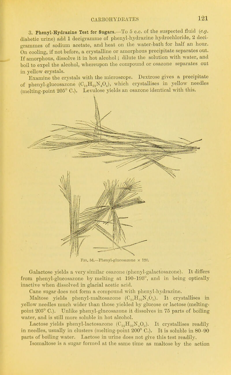 CAKBOllYDKATES 3. Phenyl-Hydrazine Test for Sugars.—To 5 c.c. of the suspected fluid (e.cj. diabetic urine) add 1 decigranaae of phenyl-hydrazine hydrochloride, 2 deci- grammes of sodium acetate, and heat on the water-bath for half an hour. On coolmg, if not before, a crystalline or amorphous precipitate separates out. If amorphous, dissolve it in hot alcohol; dilute the solution with water, and boil to expel the alcohol, whereupon the compound or osazone separates out in yellow crystals. Examine the crystals with the microscope. Dextrose gives a precipitate of phenyl-glucosazone (C,sHo,jN.,OJ, which crystallises in yellow needles (meltuig-point 205° C). Levulose yields an osazone identical with this. Fio. 56.—Plionyl-glucosazone x 120. Galactose yields a very similar osazone (phenyl-galactosazone). It differs from phenyl-glucosazone by melting at 190-193°, and in being optically inactive when dissolved in glacial acetic acid. Cane sugar does not form a compound witli phenyl-hydrazine. Maltose yields phenyl-maltosazone (C.,|H,,,jN|0,,). It crystallises in yellow needles much wider than those yielded by glucose or lactose (melting- point 205° C). Unlike phenyl-glucosazone it dissolves in 75 parts of boiling water, and is still more soluble in liot alcohol. Lactose yields phenyl-lactosazone (C._,,H.,.^N|0,,). It crystallises readily in needles, usually in clusters (melting-point 200° C). It is soluble in 80-90 parts of boiling water. Lactose in urine does not give this test readily. Isomaltose is a sugar formed at the same time as maltose by the action
