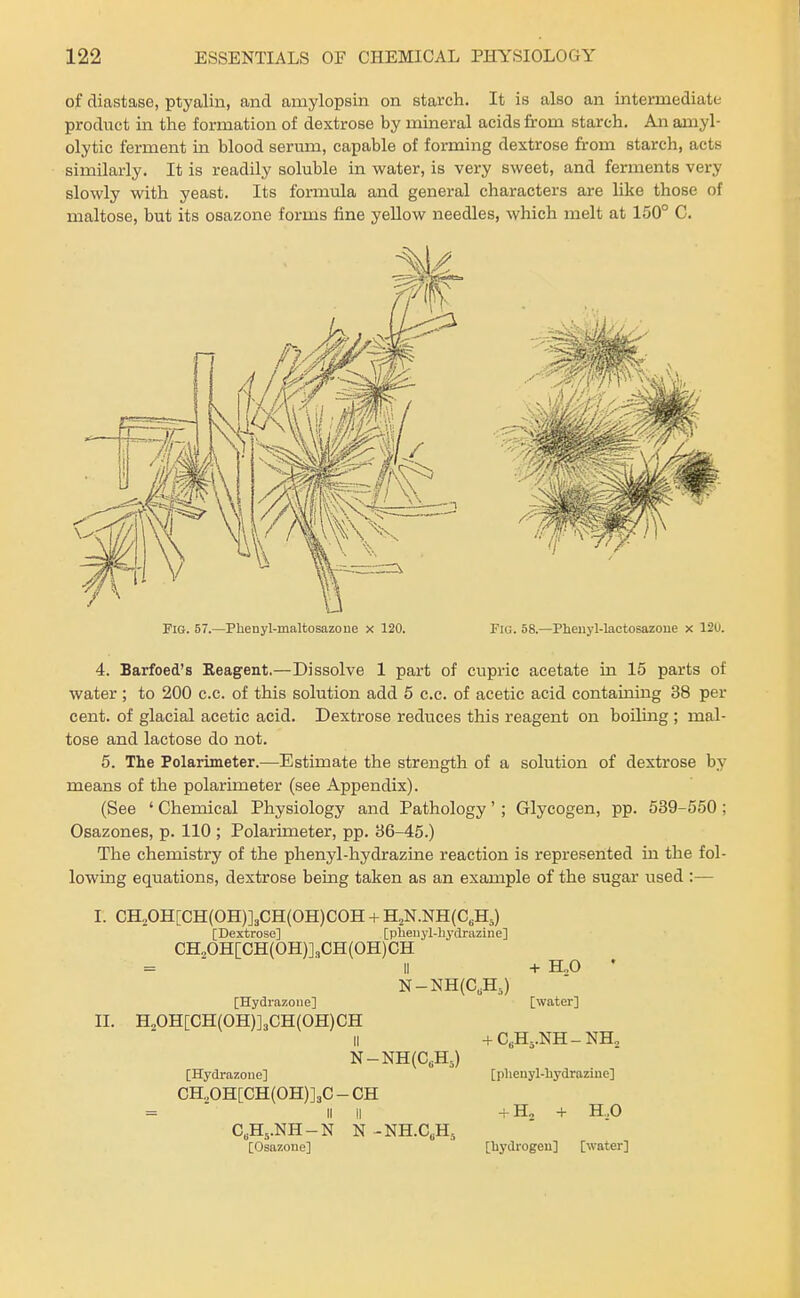 of diastase, ptyalin, and amylopsin on starch. It is also an intermediate product in the formation of dextrose by mineral acids from starch. An amyl- olytic ferment in blood serum, capable of forming dextrose from starch, acts similarly. It is readily soluble in water, is very sweet, and ferments very slowly with yeast. Its formula and general characters are like those of maltose, but its osazone forms fine yellow needles, which melt at 150° C. Fig. 57.—Phenyl-maltosazone x 120. Fig. 58.—Pheiiyl-lactosazoue x 12U. 4. Barfoed's Reagent.—Dissolve 1 part of cupric acetate in 15 parts of water ; to 200 c.c. of this solution add 5 c.c. of acetic acid containing 38 per cent, of glacial acetic acid. Dextrose reduces this reagent on boiling ; mal- tose and lactose do not. 5. The Polarimeter.—Estimate the strength of a solution of dextrose by means of the polarimeter (see Appendix). (See ' Chemical Physiology and Pathology' ; Glycogen, pp. 539-550; Osazones, p. 110 ; Polarimeter, pp. 36-45.) The chemistry of the phenyl-hydrazine reaction is represented in the fol- lowing equations, dextrose being taken as an example of the sugar used :— I. CH„0H[CH(0H)]3CH(0H)C0H + H2N.NH(C,H.) [Dextrose] [pheiiyl-liydraziiie] CH„0H[CH(0H)]3CH(0H)CH = ■ II -I- K,0 • N-NH(CA) [Hydrazone] [water] II. H20H[CH(0H)]3CH(0H)CH II -f C6H..NH-NH„ N-NH(C,H,) [Hydrazone] [phenyl-hydrazine] CH„0H[CH(0H)]3C - OH =  II II -fH„ -1- H.,0 C^Hj.NH-N N -NH.C„H, [Osazone] [hydrogen] [water]