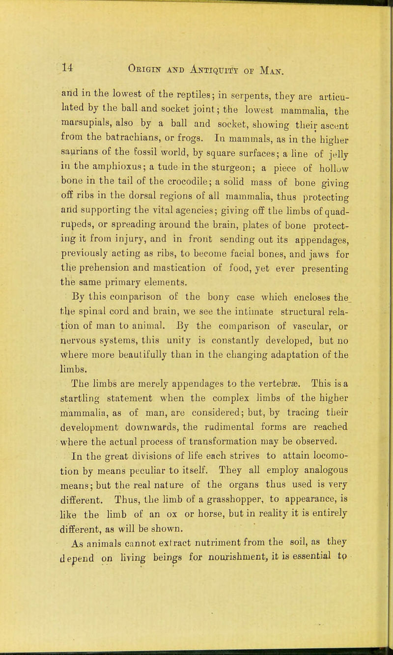 arid in the lowest of the reptiles; in serpents, they are articu- lated by the ball and socket joint; the lowest mammalia, the marsupials, also by a ball and socket, showing their ascent from the batrachians, or frogs. In mammals, as in the higher saurians of the fossil world, by square surfaces; a line of jelly in the amphioxus; a tude in the sturgeon; a piece of hollow bone in the tail of the crocodile; a solid mass of bone giving off ribs in the dorsal regions of all mammalia, thus protecting arid supporting the vital agencies; giving off the limbs of quad- rupeds, or spreading around the brain, plates of bone protect- ing it from injury, and in front sending out its appendages, previously acting as ribs, to become facial bones, and jaws for the prehension and mastication of food, yet ever presenting the same primary elements. By this comparison of the bony case which encloses the, the spinal cord and brain, we see the intimate structural rela- tion of man to animal. By the comparison of vascular, or nervous systems, this unity is constantly developed, but no where more beautifully than in the changing adaptation of the limbs. The limbs are merely appendages to the vertebrae. This is a startling statement when the complex limbs of the higher mammalia, as of man, are considered; but, by tracing their development downwards, the rudimental forms are reached where the actual process of transformation may be observed. In the great divisions of life each strives to attain locomo- tion by means peculiar to itself. They all employ analogous means; but the real nature of the organs thus used is very different. Thus, the limb of a grasshopper, to appearance, is like the Umb of an ox or horse, but in reahty it is entirely different, as will be shown. As animals cannot extract nutriment from the soil, as they d epend on hving beings fojr nourishment, it is essential tp