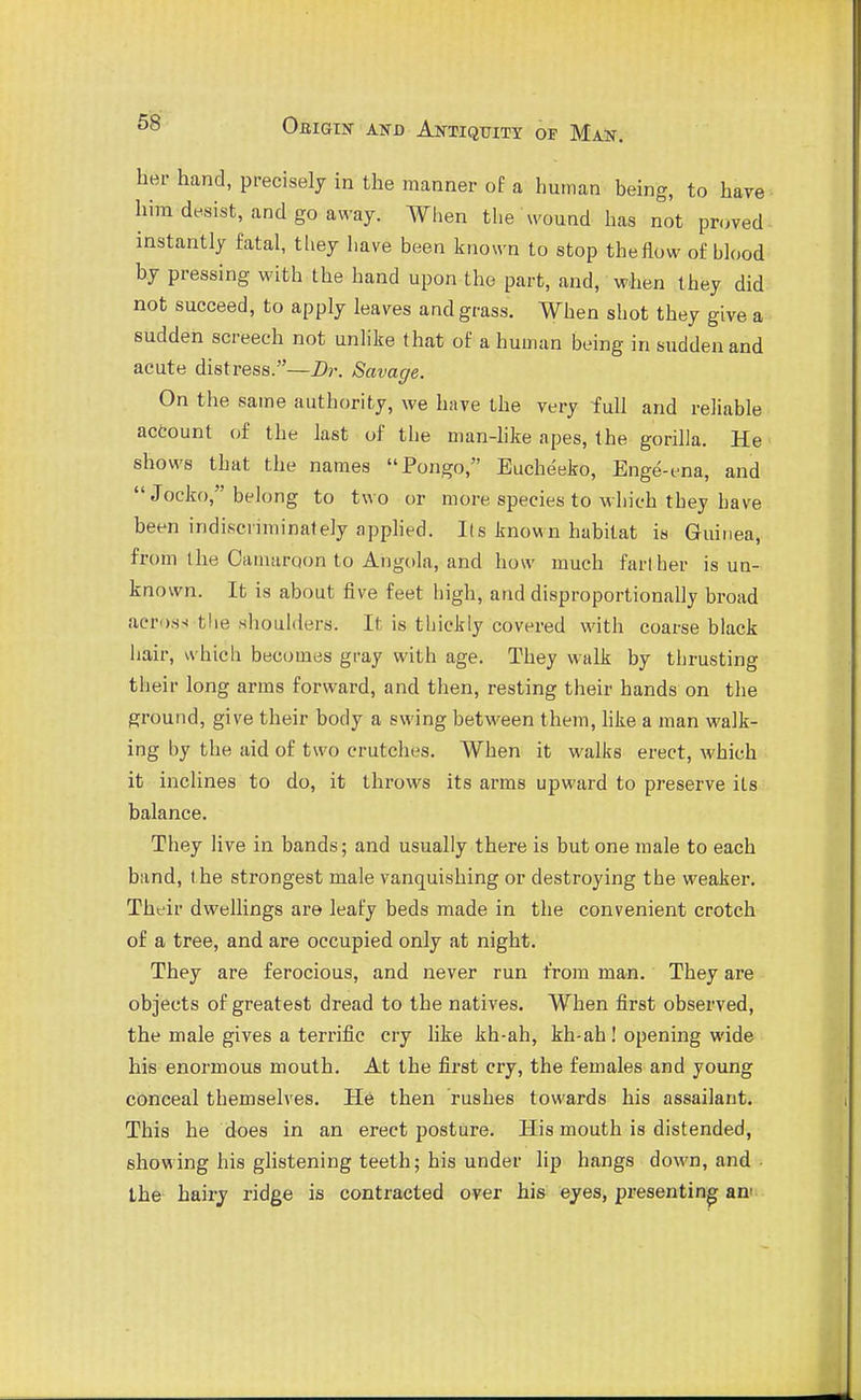 hei- hand, precisely in the manner of a human being, to have - him desist, and go away. When the wound has not proved instantly fatal, tliey have been known to stop the flow of blood by pressing with the hand upon the part, and, when they did not succeed, to apply leaves and grass. When shot they give a sudden screech not unlike that of a human being in sudden and acute distress.—Dr. Savage. On the same authority, we have the very full and reliable account of the last of the man-hke apes, the gorilla. He shows that the names Pongo, Eucheeko, Enge-t-na, and Jocko, belong to two or more species to-which they have been indiscriminately apphed. lis known habitat is Guinea, from the Oamaroon to Angola, and how much farther is un- known. It is about five feet high, and disproportionally broad across the slioulders. It is thickly covered with coarse black hair, which becomes gray with age. They walk by thrusting their long arms forward, and then, resting their hands on tlie ground, give their body a swing between them, hke a man walk- ing by the aid of two crutches. When it walks erect, which it inclines to do, it throws its arms upward to preserve its balance. They live in bands; and usually there is but one male to each band, the strongest male vanquishing or destroying the weaker. Their dwellings are leafy beds made in the convenient crotch of a tree, and are occupied only at night. They are ferocious, and never run from man. They are objects of greatest dread to the natives. When first observed, the male gives a terrific cry like kh-ah, kh-ah! opening wide his enormous mouth. At the first cry, the females and young conceal themselves. He then rushes towards his assailant. This he does in an erect posture. His mouth is distended, showing his glistening teeth; his under lip hangs down, and the hairy ridge is contracted over his eyes, presenting an'