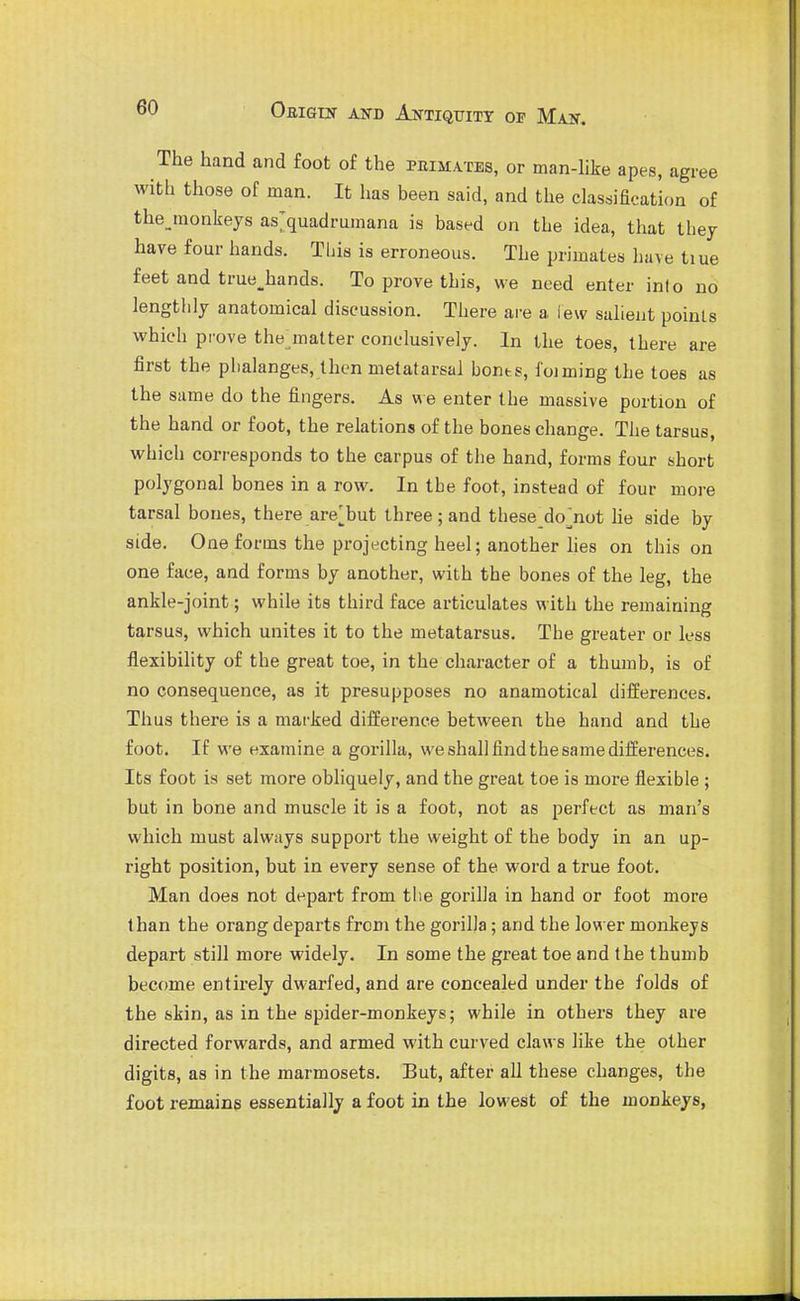 The hand and foot of the primates, or man-like apes, agree with those of man. It has been said, and the classification of thejnonkejs as'quadrumana is based on the idea, that tbey have four hands. Tbis is erroneous. The primates have tiue feet and true^hands. To prove this, we need enter into no lengthly anatomical discussion. There are a lew salient points which pi'ove the matter conclusively. In the toes, there are first the plialanges, then metatarsal bonts, foiming the toes as the same do the fingers. As we enter the massive portion of the hand or foot, the relations of the bones change. The tarsus, which corresponds to the carpus of the hand, forms four short polygonal bones in a row. In the foot, instead of four more tarsal bones, there are^but three ; and these_do^not lie side by side. One forms the projecting heel; another hes on this on one face, and forms by another, with the bones of the leg, the ankle-joint; while its third face articulates with the remaining tarsus, which unites it to the metatarsus. The greater or less flexibility of the great toe, in the character of a thumb, is of no consequence, as it presupposes no anamotical differences. Thus there is a marked difference between the hand and the foot. If we examine a gorilla, we shall find the same differences. Its foot is set more obliquely, and the great toe is more flexible ; but in bone and muscle it is a foot, not as perfect as man's which must always support the weight of the body in an up- right position, but in every sense of the word a true foot. Man does not depart from tiie gorilla in hand or foot more than the orang departs from the gorilla; and the lower monkeys depart still more widely. In some the great toe and the thumb become entirely dwarfed, and are concealed under the folds of the skin, as in the spider-monkeys; while in others they are directed forwards, and armed with curved claws like the other digits, as in the marmosets. But, after all these changes, the foot remains essentially a foot in the lowest of the monkeys,