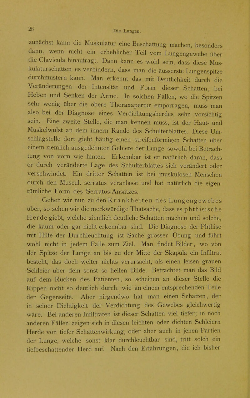 zunächst kann die Muskulatur eine Beschattung machen, besonders dann, wenn nicht ein erheblicher Teil vom Lungengewebe über die Clavicula hinaufragt. Dann kann es wohl sein, dass diese Mus- kulaturschatten es verhindern, dass man die äusserste Lungenspitze durchmustern kann. Man erkennt das mit Deutlichkeit durch die Veränderungen der Intensität und Form dieser Schatten, bei Heben und Senken der Arme. In solchen Fällen, wo die Spitzen sehr wenig über die obere Thoraxapertur emporragen, muss man also bei der Diagnose eines Verdichtungsherdes sehr vorsichtig sein. Eine zweite Stelle, die man kennen muss, ist der Haut- und Muskelwulst an dem innern Rande des Schulterblattes. Diese Um- schlagstelle dort giebt häufig einen streifenförmigen Schatten über einem ziemlich ausgedehnten Gebiete der Lunge sowohl bei Betrach- tung von vorn wie hinten. Erkennbar ist er natürlich daran, dass er durch veränderte Lage des Schulterblattes sich verändert oder verschwindet. Ein dritter Schatten ist bei muskulösen Menschen durch den Muscul. serratus veranlasst und hat natürlich die eigen- tümliche Form des Serratus-Ansatzes. Gehen wir nun zu den Krankheiten des Lungengewebes über, so sehen wir die merkwürdige Thatsache, dass es phthisische Herde giebt, welche ziemlich deutliche Schatten machen und solche, die kaum oder gar nicht erkennbar sind. Die Diagnose der Phthise mit Hilfe der Durchleuchtung ist Sache grosser Übung und führt wohl nicht in jedem Falle zum Ziel. Man findet Bilder, wo von der Spitze der Lunge an bis zu der Mitte der Skapula ein Infiltrat besteht, das doch weiter nichts verursacht, als einen leisen grauen Schleier über dem sonst so hellen Bilde. Betrachtet man das Bild auf dem Rücken des Patienten, so scheinen an dieser Stelle die Rippen nicht so deutlich durch, wie an einem entsprechenden Teile der Gegenseite. Aber nirgendwo hat man einen Schatten, der in seiner Dichtigkeit der Verdichtung des Gewebes gleichwertig wäre. Bei anderen Infiltraten ist dieser Schatten viel tiefer; in noch anderen Fällen zeigen sich in diesen leichten oder dichten Schleiern Herde von tiefer Schattenwirkung, oder aber auch in jenen Partien der Lunge, welche sonst klar durchleuchtbar sind, tritt solch ein tielbeschattender Herd auf. Nach den Erfahrungen, die ich bisher