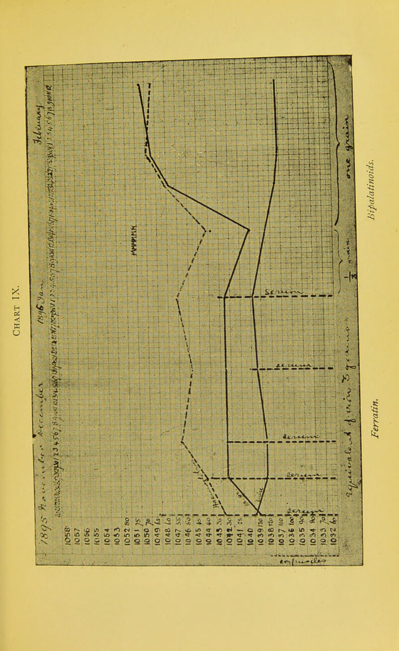 Ferratin. Bifialatinoids.