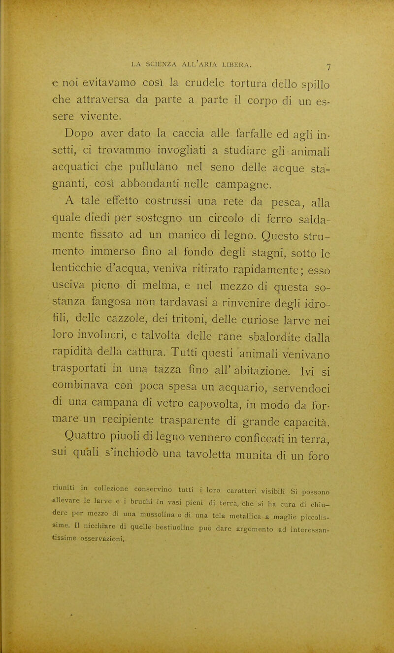 € noi evitavamo così la crudele tortura dello spillo che attraversa da parte a parte il corpo di un es- sere vivente. Dopo aver dato la caccia alle farfalle ed agli in- setti, ci trovammo invogliati a studiare gii animali acquatici che pullulano nel seno delle acque sta- gnanti, così abbondanti nelle campagne. A tale effetto costrussi una rete da pesca, alla quale diedi per sostegno un circolo di ferro salda- mente fissato ad un manico di legno. Questo stru- mento immerso fino al fondo degli stagni, sotto le lenticchie d'acqua, veniva ritirato rapidamente ; esso usciva pieno di melma, e nel mezzo di questa so- stanza fangosa non tardavasi a rinvenire degli idro- fili, delle cazzole, dei tritoni, delle curiose larve nei loro involucri, e talvolta delle rane sbalordite dalla rapidità della cattura. Tutti questi animah venivano trasportati in una tazza fino all' abitazione. Ivi si combinava con poca spesa un acquario, servendoci di una campana di vetro capovolta, in modo da for- mare un recipiente trasparente di grande capacità. Quattro pinoli di legno vennero conficcati in terra, sui quali s'inchiodò una tavoletta munita di un foro riuniti in collezione conservino tutti i loro caratteri visibili Si possono allevare le larve e i bruchi in vasi pieni di terra, che si ha cura di chiu- dere per mezzo di una mussolina o di una tela metallica a maglie piccolis- sime. Il nicchi-are di quelle bestiuoline può dare argomento ad interessan- tissime osservazioni.