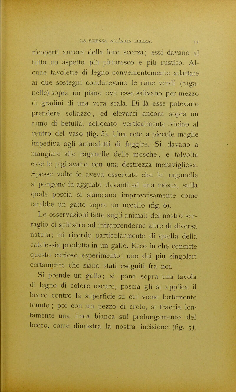 ricoperti ancora della loro scorza; essi davano al tutto un aspetto più pittoresco e piìi rustico. Al- cune tavolette di legno convenientemente adattate ai due sostegni conducevano le rane verdi (raga- nelle) sopra un piano ove esse salivano per mezzo di gradini di una vera scala. Di là esse potevano prendere sollazzo, ed elevarsi ancora sopra un ramo di betulla, collocato verticalmente .vicino al centro del vaso (fig. 5). Una rete a piccole maglie impediva agli animaletti di fuggire. Si davano a mangiare alle raganelle delle mosche, e talvolta esse le pigliavano con una destrezza meravigliosa. Spesse volte io aveva osservato che le raganelle si pongono in agguato davanti ad una mosca, sulla quale poscia si slanciano improvvisamente come farebbe un gatto sopra un uccello (fig. 6). Le osservazioni fatte sugli animali del nostro ser- raglio ci spinsero ad intraprenderne altre di diversa natura; mi ricordo particolarmente di quella della catalessia prodotta in un gallo. Ecco in che consiste questo curioso esperimento: uno dei più singolari certamente che siano stati eseguiti fra noi. Si prende un gallo; si pone sopra una tavola di legno di colore oscuro, poscia gli si applica il becco contro la superficie su cui viene fortemente tenuto ; poi con un pezzo di creta, si traccia len- tamente una Hnea bianca sul prolungamento del becco, come dimostra la nostra incisione (fig. 7).