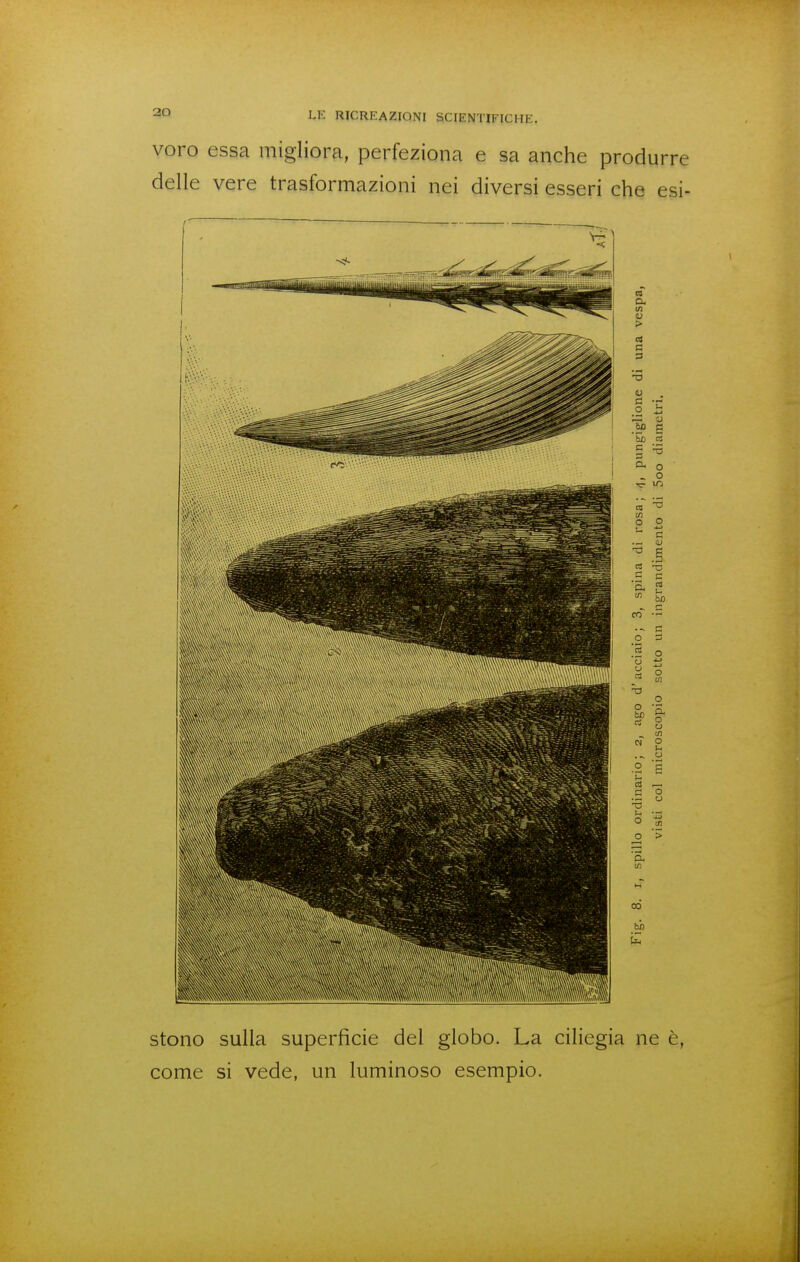 voro essa migliora, perfeziona e sa anche produrre delle vere trasformazioni nei diversi esseri che esi- stono sulla superficie del globo. La ciliegia ne è, come si vede, un luminoso esempio.