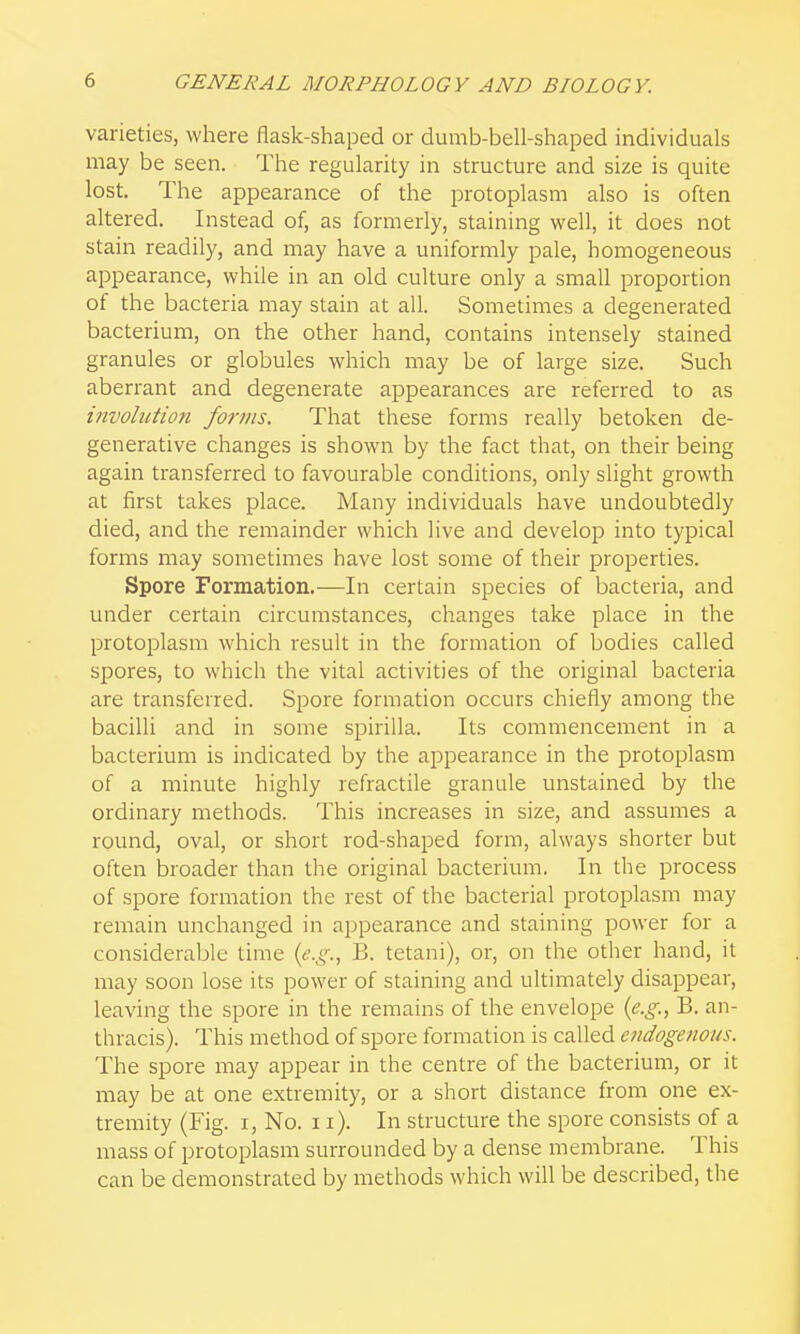 varieties, where flask-shaped or dumb-bell-shaped individuals may be seen. The regularity in structure and size is quite lost. The appearance of the protoplasm also is often altered. Instead of, as formerly, staining well, it does not stain readily, and may have a uniformly pale, homogeneous appearance, while in an old culture only a small proportion of the bacteria may stain at all. Sometimes a degenerated bacterium, on the other hand, contains intensely stained granules or globules which may be of large size. Such aberrant and degenerate appearances are referred to as ifivohition forms. That these forms really betoken de- generative changes is shown by the fact that, on their being again transferred to favourable conditions, only slight growth at first takes place. Many individuals have undoubtedly died, and the remainder which live and develojD into typical forms may sometimes have lost some of their properties. Spore Formation.—In certain species of bacteria, and under certain circumstances, changes take place in the protoplasm which result in the formation of bodies called spores, to which the vital activities of the original bacteria are transferred. Spore formation occurs chiefly among the bacilli and in some spirilla. Its commencement in a bacterium is indicated by the appearance in the protoplasm of a minute highly refractile granule unstained by the ordinary methods. This increases in size, and assumes a round, oval, or short rod-shaped form, always shorter but often broader than the original bacterium. In the process of spore formation the rest of the bacterial protoplasm may remain unchanged in appearance and staining power for a considerable time {e.g., B. tetani), or, on the other hand, it may soon lose its power of staining and ultimately disappear, leaving the spore in the remains of the envelope (e.g., B. an- thracis). This method of spore formation is called endogenous. The spore may appear in the centre of the bacterium, or it may be at one extremity, or a short distance from one ex- tremity (Fig. I, No. 11). In structure the spore consists of a mass of protoplasm surrounded by a dense membrane. This can be demonstrated by methods which will be described, the