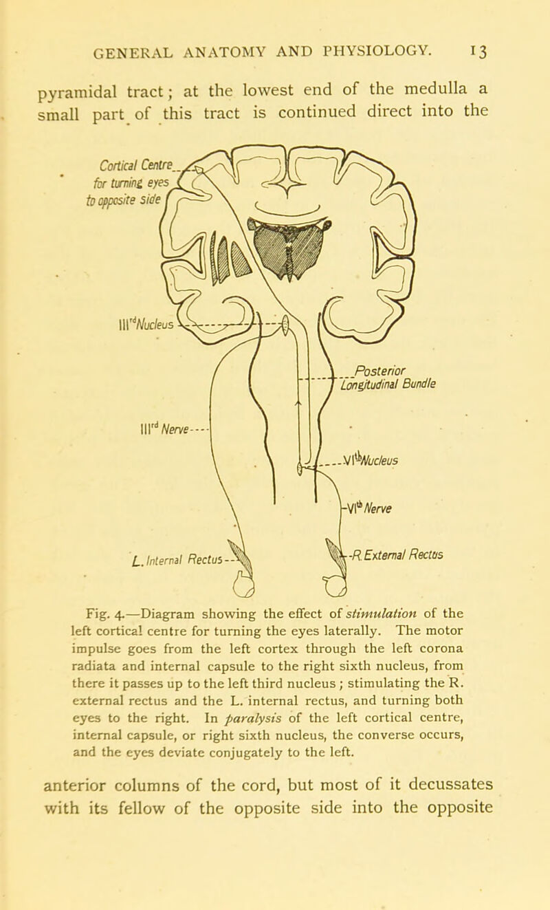 pyramidal tract; at the lowest end of the medulla a small part of this tract is continued direct into the Fig. 4.—Diagram showing the effect of stimulation of the left cortical centre for turning the eyes laterally. The motor impulse goes from the left cortex through the left corona radiata and internal capsule to the right sixth nucleus, from there it passes up to the left third nucleus ; stimulating the R. external rectus and the L. internal rectus, and turning both eyes to the right. In paralysis of the left cortical centre, internal capsule, or right sixth nucleus, the converse occurs, and the eyes deviate conjugately to the left. anterior columns of the cord, but most of it decussates with its fellow of the opposite side into the opposite