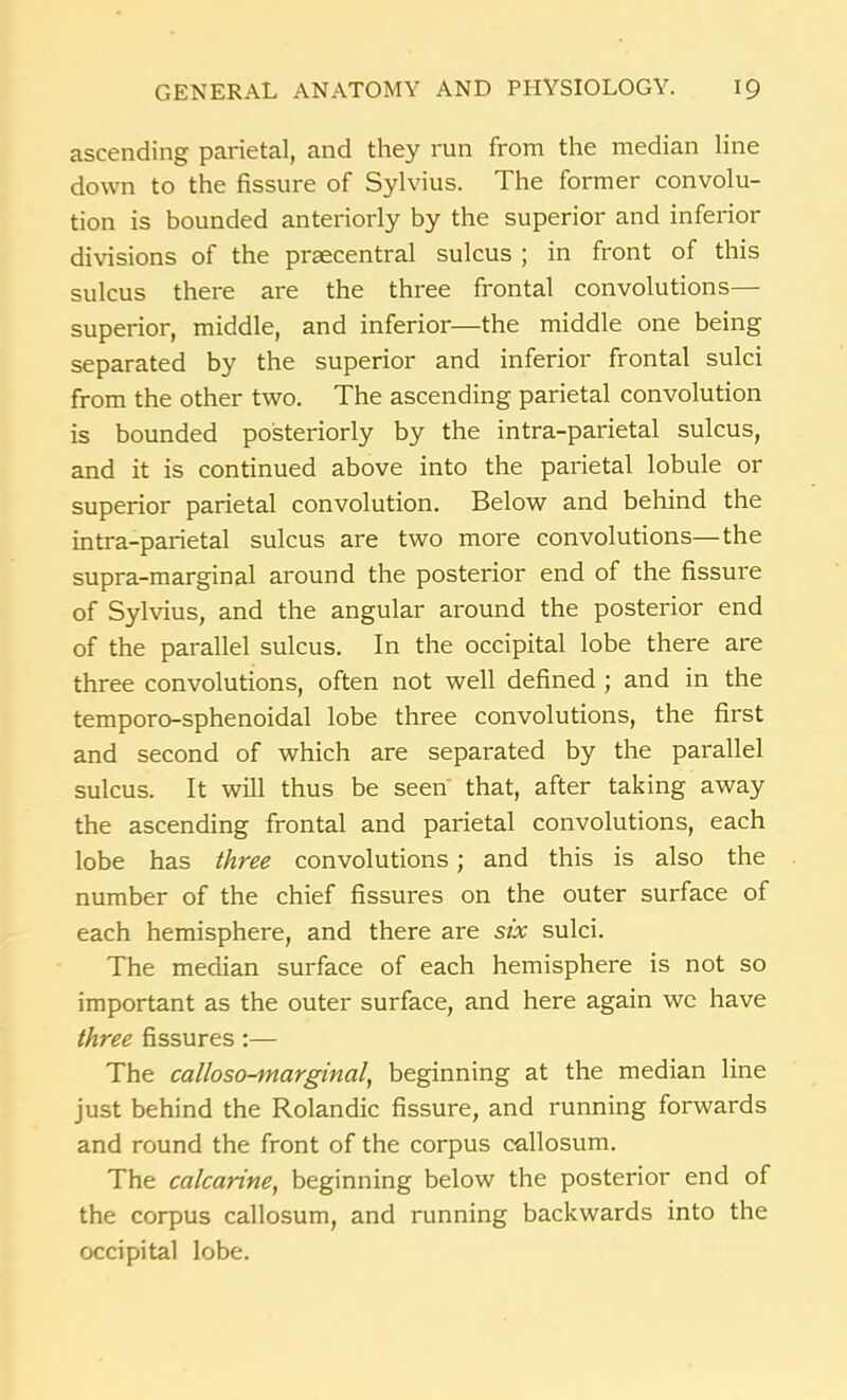 ascending parietal, and they run from the median line down to the fissure of Sylvius. The former convolu- tion is bounded anteriorly by the superior and inferior divisions of the prgecentral sulcus ; in front of this sulcus there are the three frontal convolutions— superior, middle, and inferior—the middle one being separated by the superior and inferior frontal sulci from the other two. The ascending parietal convolution is bounded posteriorly by the intra-parietal sulcus, and it is continued above into the parietal lobule or superior parietal convolution. Below and behind the intra-parietal sulcus are two more convolutions—the supra-marginal around the posterior end of the fissure of Sylvius, and the angular around the posterior end of the parallel sulcus. In the occipital lobe there are three convolutions, often not well defined ; and in the temporo-sphenoidal lobe three convolutions, the first and second of which are separated by the parallel sulcus. It will thus be seen that, after taking away the ascending frontal and parietal convolutions, each lobe has three convolutions; and this is also the number of the chief fissures on the outer surface of each hemisphere, and there are six sulci. The median surface of each hemisphere is not so important as the outer surface, and here again we have three fissures :— The calloso-marginal, beginning at the median line just behind the Rolandic fissure, and running forwards and round the front of the corpus callosum. The calcarine, beginning below the posterior end of the corpus callosum, and running backwards into the occipital lobe.
