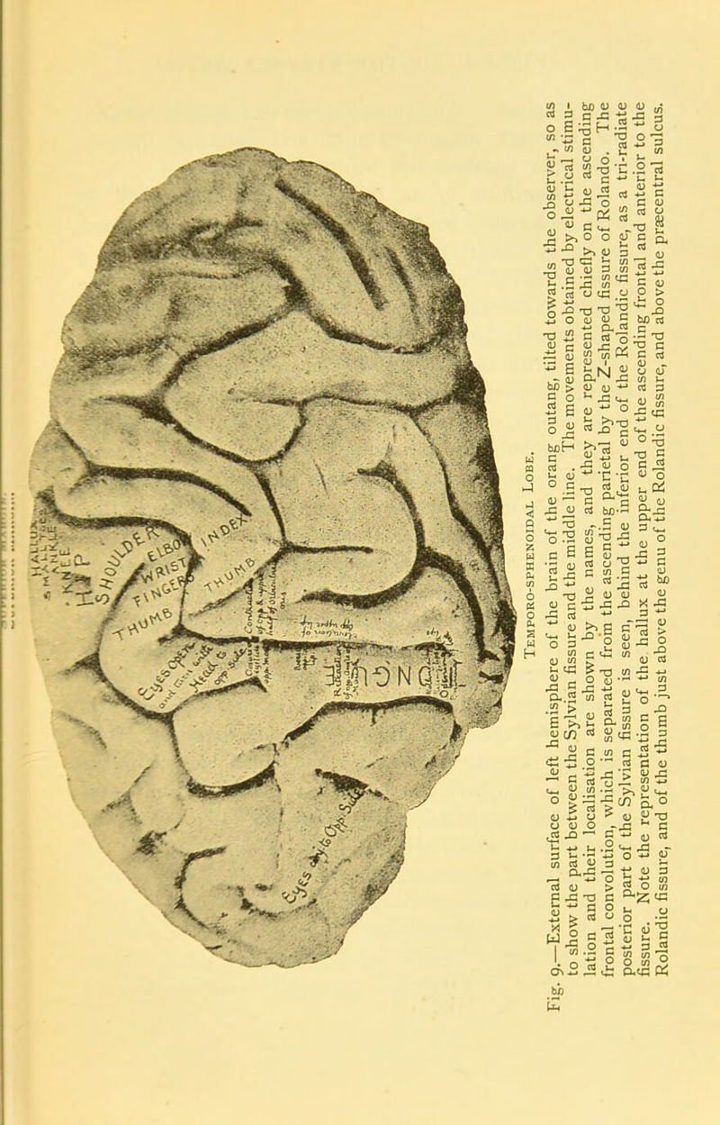 » J, i*l) i) u c-S£ 13 5 a in g 0 'I 0 TO £ o J3 3 oJH -05 . >> o o • ^ >>0 X CP n 0) u § to jn . £ cj TO 0 * 0 JP X TO . U p in 0 G3 „X 0 G P 0 0 P C/3 *5 w — •— tn cc rz l-H P ^ (/) ^ P * O (£5 0 O TO GP ° ° w 5 bflrt ■*5 cuj* c . P TO 'q • - X -C (V ^ :; Ifl H fi 0 l ., N ° 0 G TO 0 - M S |N H U U 0 Cl,' N jz in u to > 0 0 GP u-i 0 ^ ° U UJ3 bx)H ^r> c v TO . U 0 ■’=- °.£x 0 ~ 4-J JP 0 TO 0 av, G G TO bJD * *J T) ..5 II , s-11-Sfl. p G G 0 __. .—< - (U p o X 4-. £ S mg 01 J5 C3 TO P 0 in x yp ° x X P c ^ 0 'o u& a. « CU r-| cut; TO 0 0 T! 0) (U - - ^ jp GP X GP G P TO ^ M 0 >> G h ijG'S O 3 £ in C G 0 c/j r P yp £ ^ r* O 0 P ^ JP cu.2 01 .2 > P X 0 p rGCP 0 5 J2 I 0 ^ _Q 75 0 TO -52 -S X <d <♦-* .2, u ° 71 p . x m P c tfi ^ K - 10 !] ^7 in O ” u c/) * JJ yp ■2 p cn G TO C 0 x> ‘ 0 > GP -• P TO tj -- _ 0 tn -PP <u °  0 X a ^ cj a 0 o -j: TO JD ^ G TJ Oh ° 0 TJ ^ G 0 4-. U .2 GP TO Jj p 2 ** 'o r- v > G o TO 0 P JP X 01;G * i TO 0 O TO JO in ° •c ai^ 0 ip 5 <5 v) o o c/) cux b£) U-t