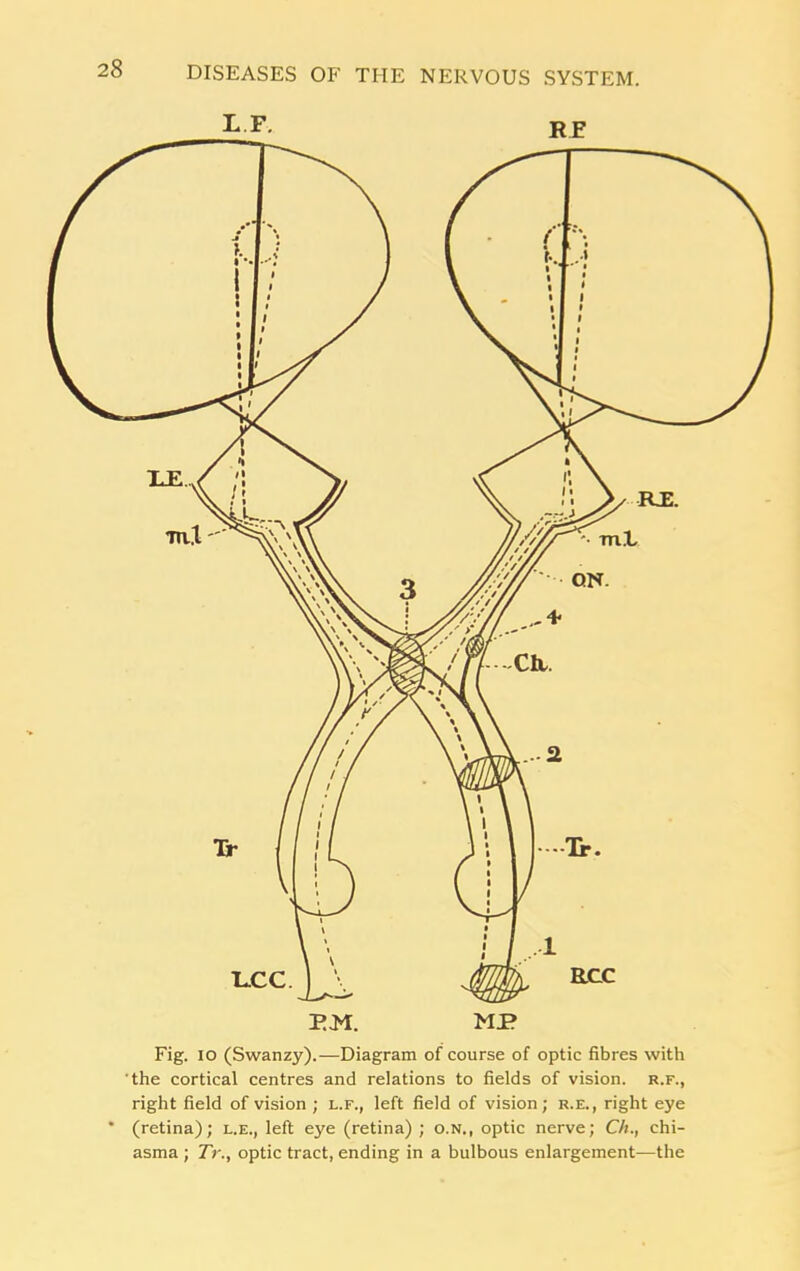 2 8 LF R E Fig. io (Swanzy).—Diagram of course of optic fibres with the cortical centres and relations to fields of vision, r.f., right field of vision ; l.f., left field of vision; r.e., right eye * (retina); l.e., left eye (retina) ; o.n., optic nerve; Ch., chi- asma ; Tr., optic tract, ending in a bulbous enlargement—the